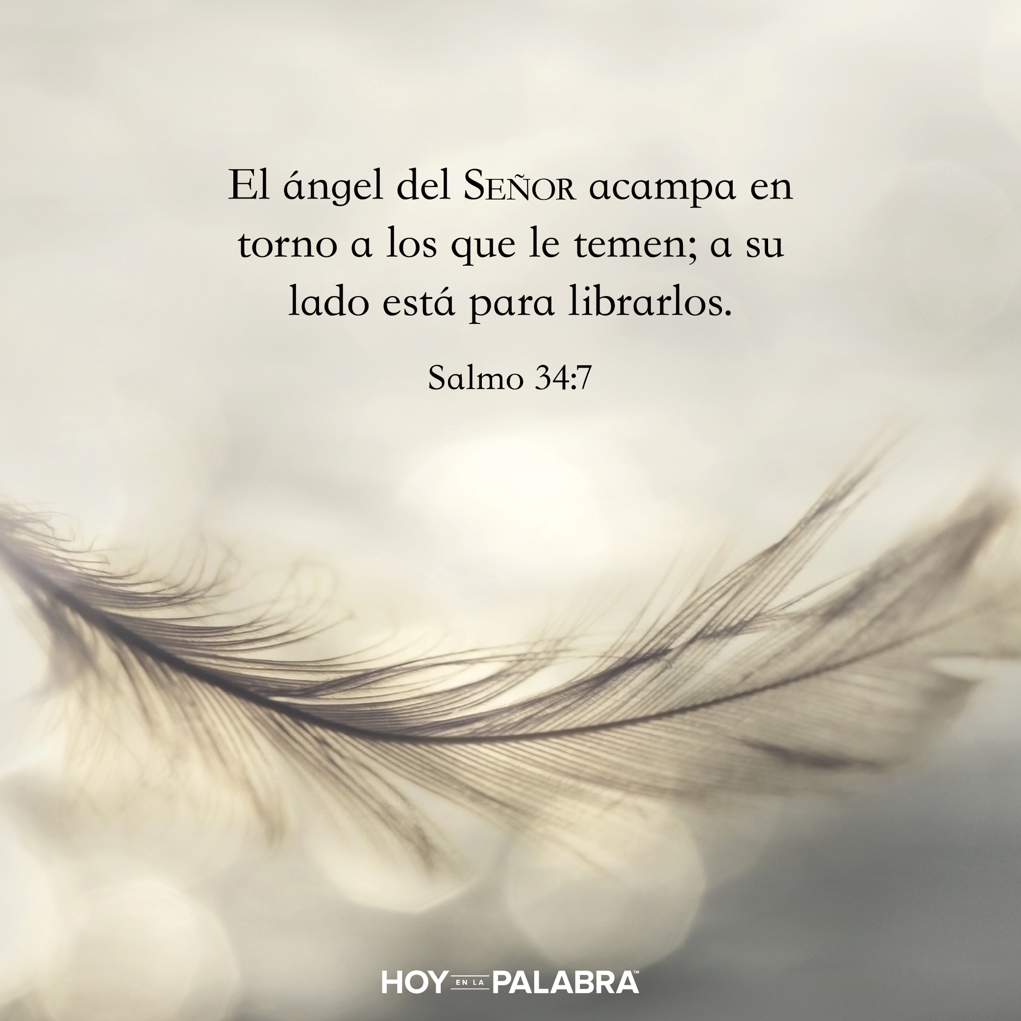 Abigail: La voluntad del Señor