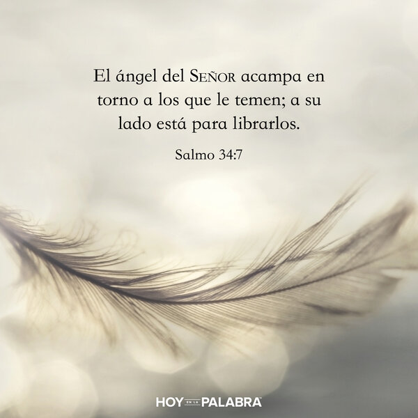 Abigail: La voluntad del Señor