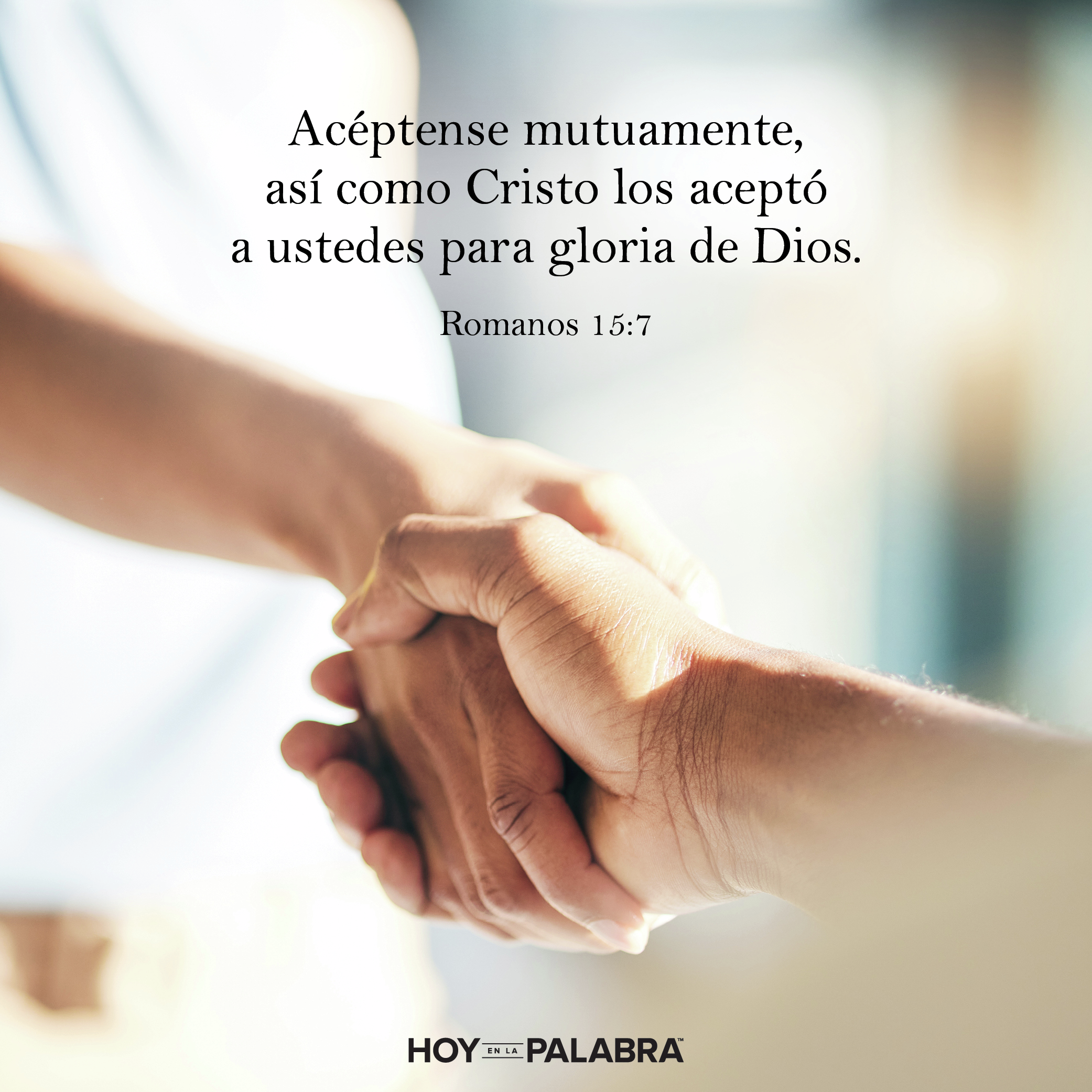 UN ALEGRE DESACUERDO