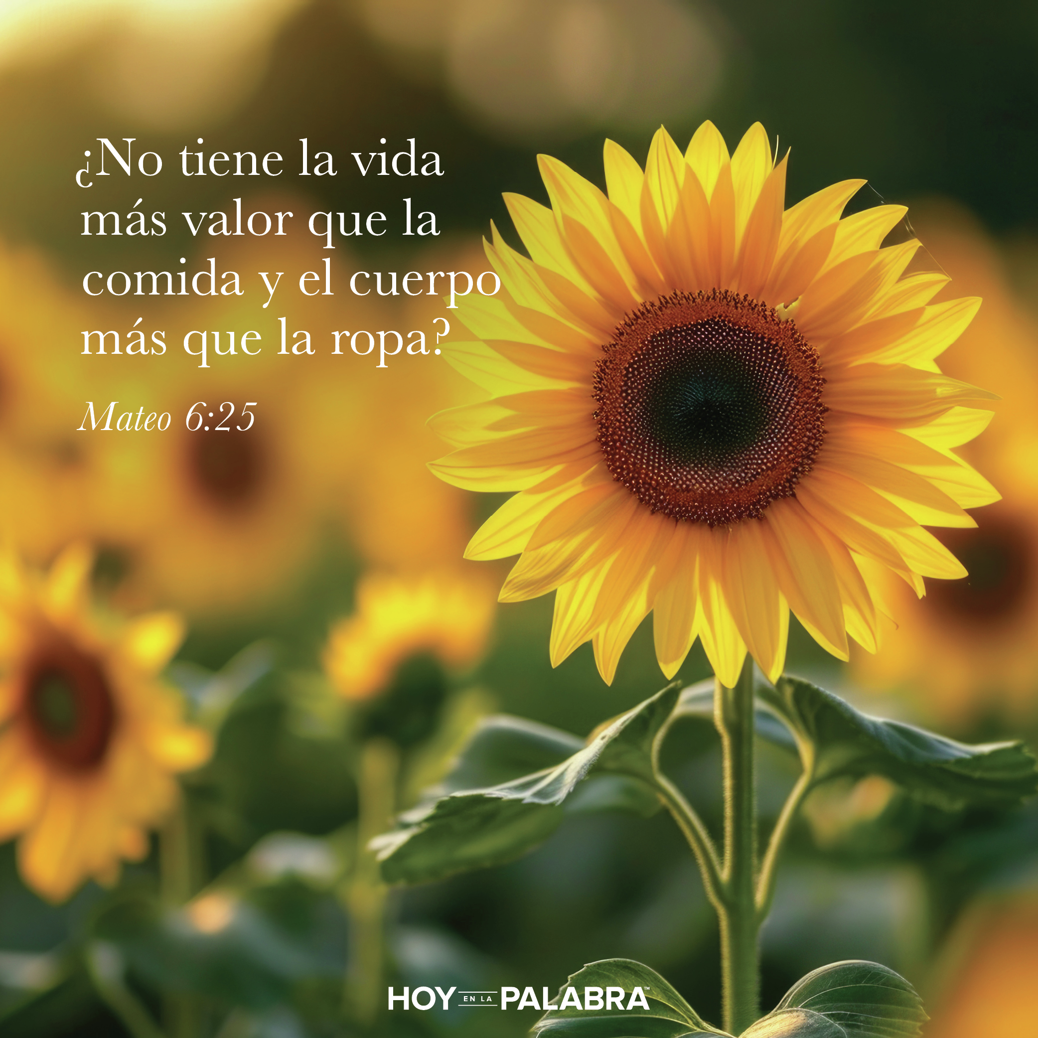 VESTIDOS COMO LAS FLORES