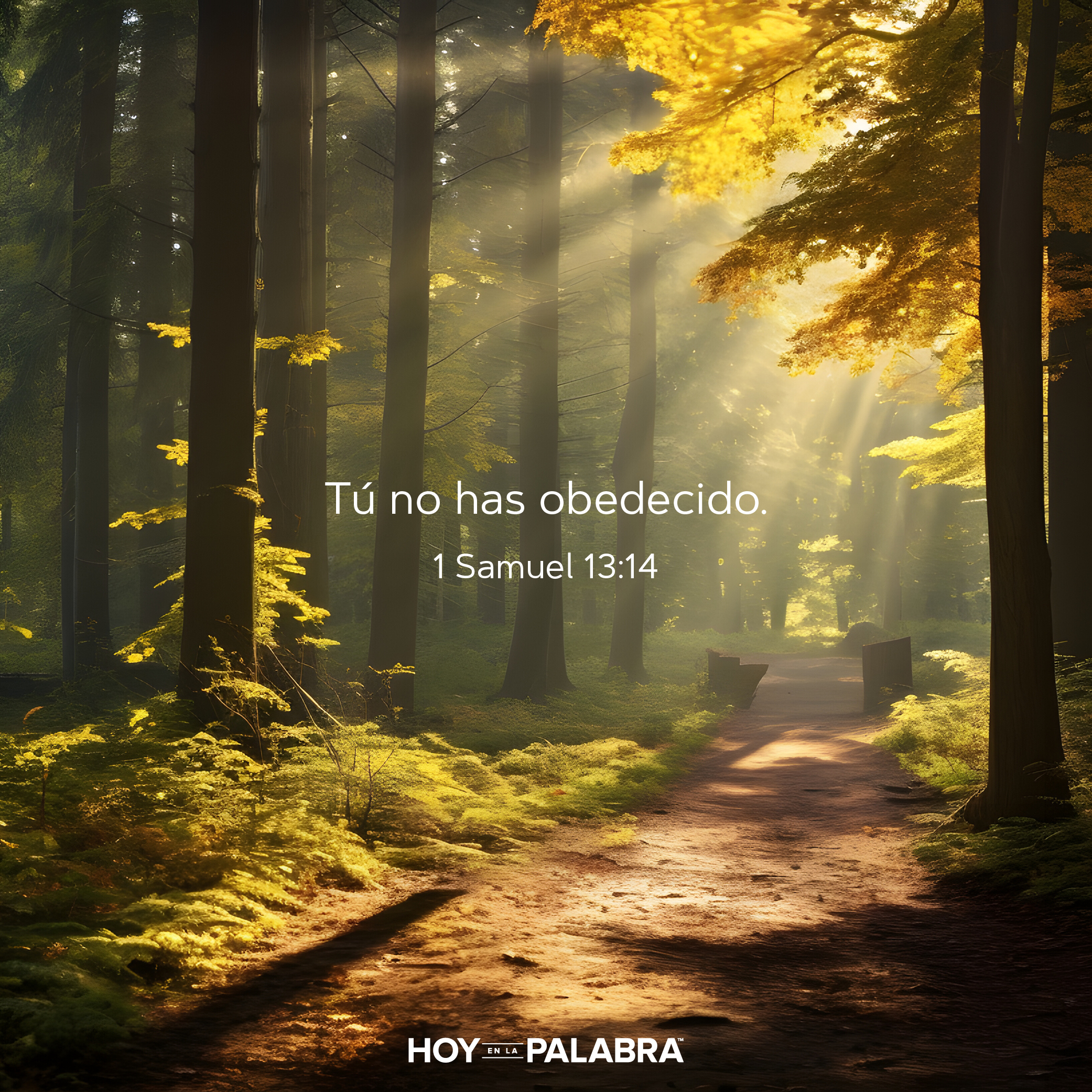 NO DESESTIMES EL PECADO