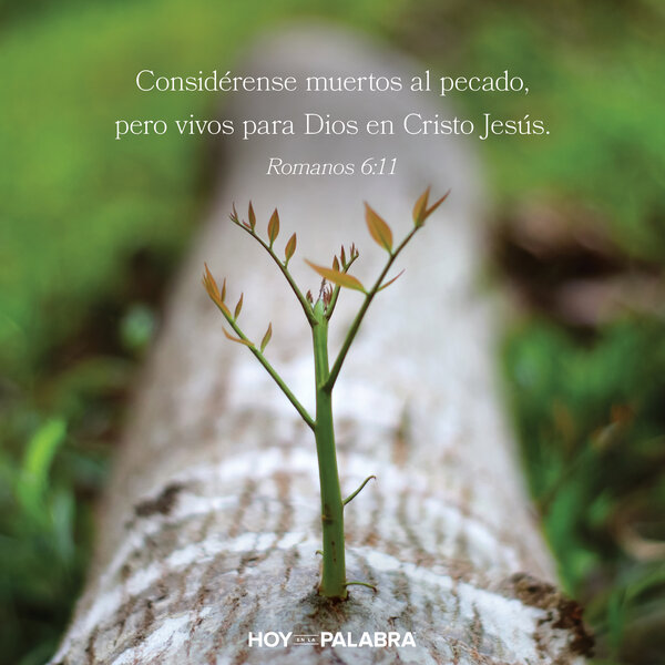 Cómo vivir una vida santa