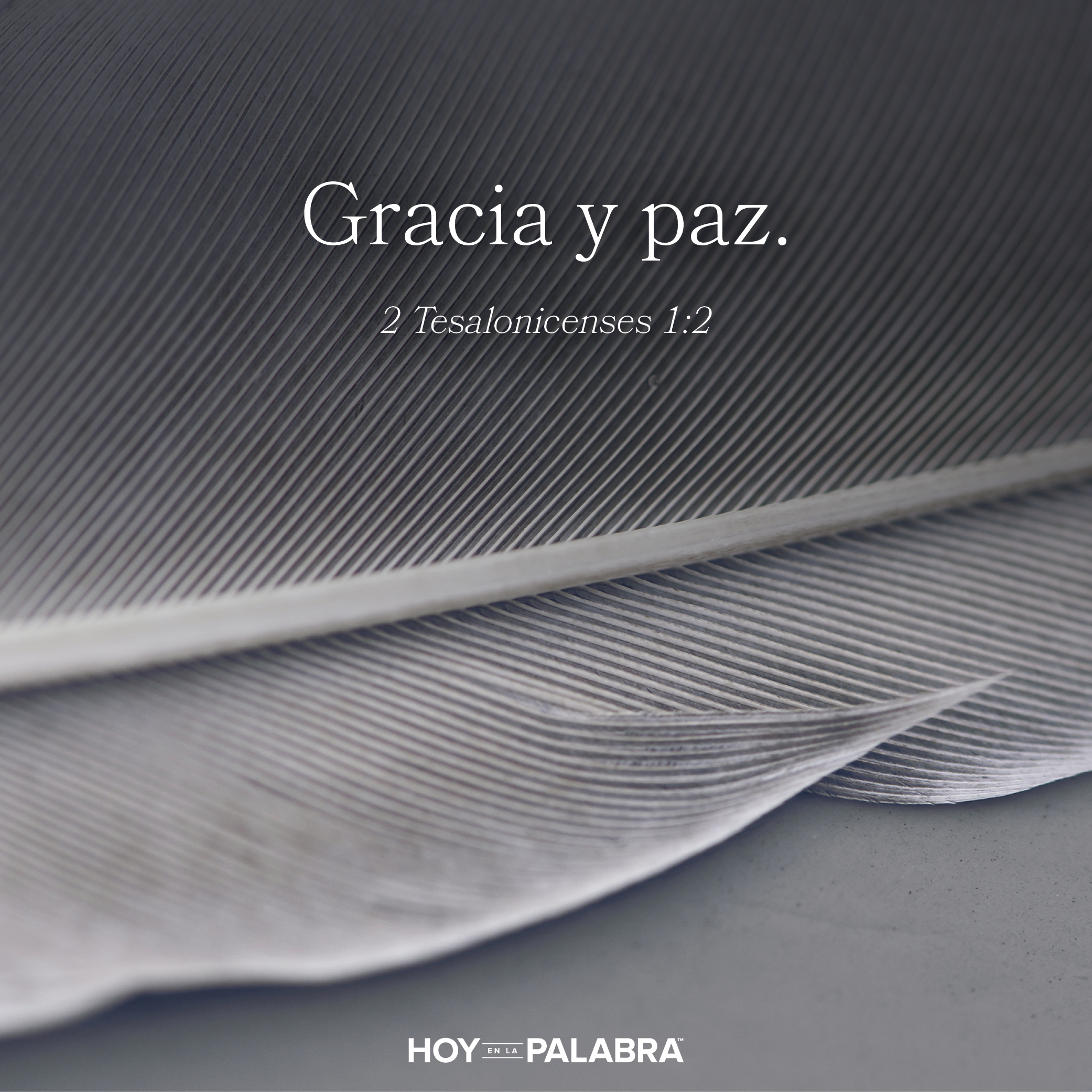 De nuevo, queridos tesalonicenses