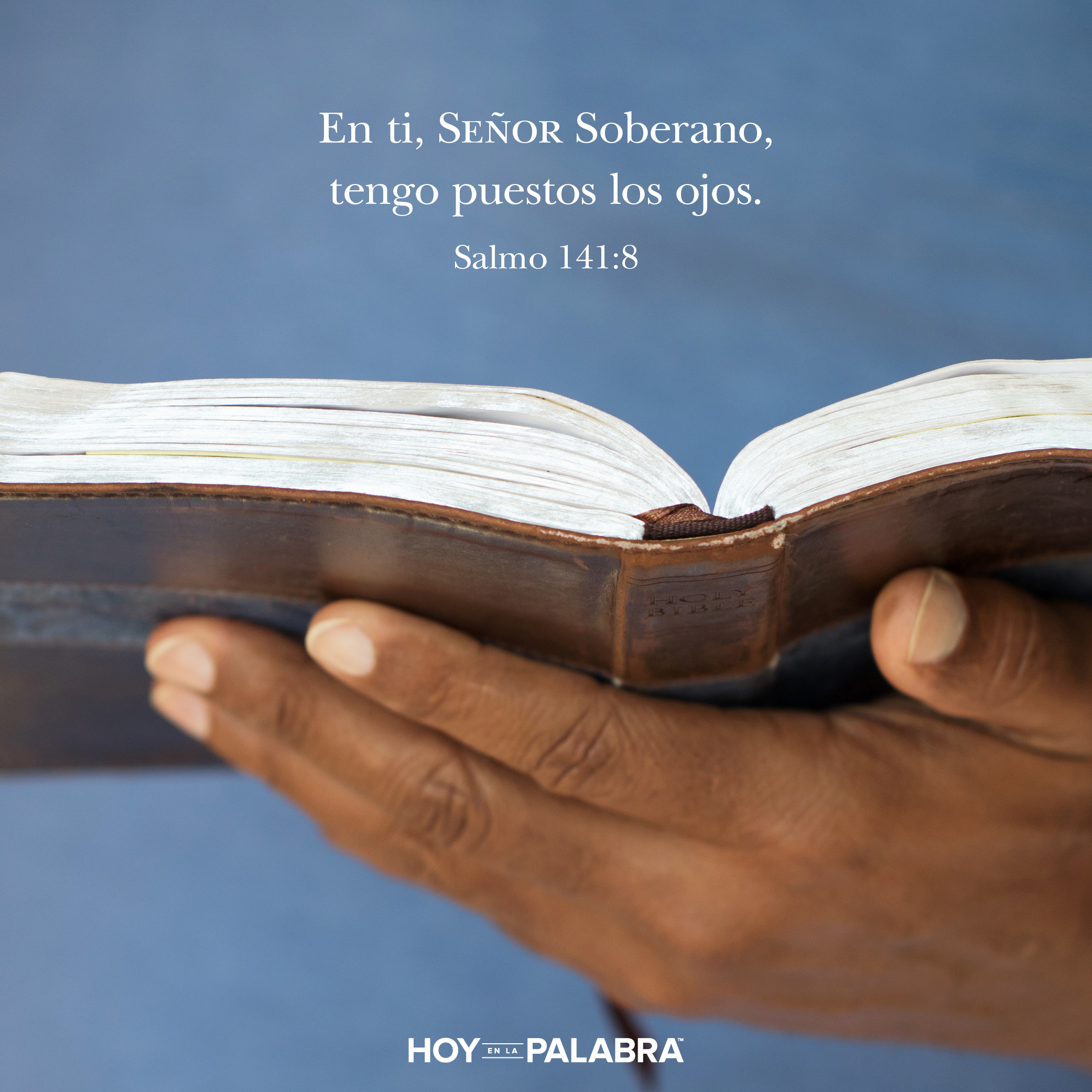 Lecciones aprendidas