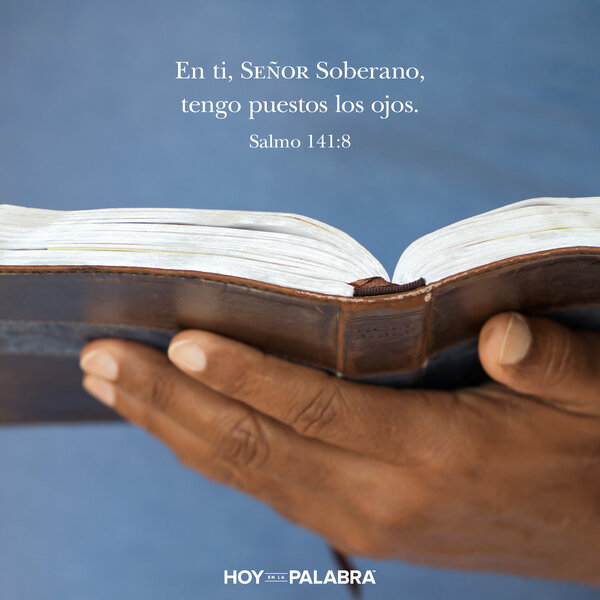 Lecciones aprendidas