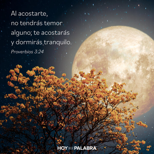 El Descanso de la sabiduría