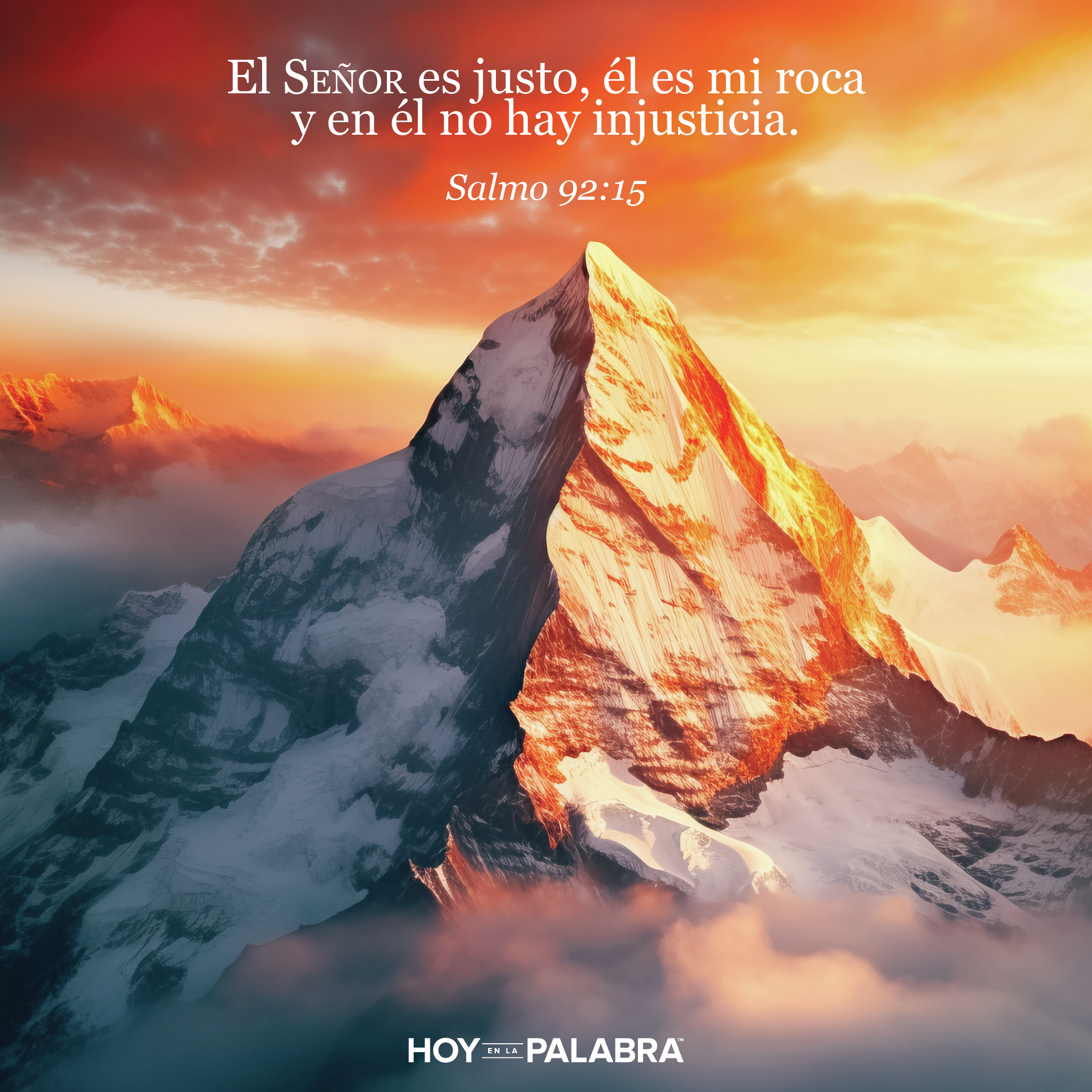 ZOFAR: ENREDOS Y VUELTAS