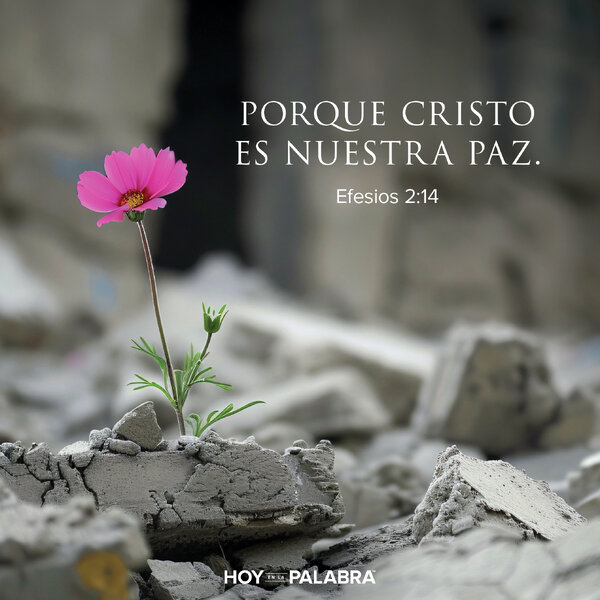 UN TRATADO DE PAZ DIVINO