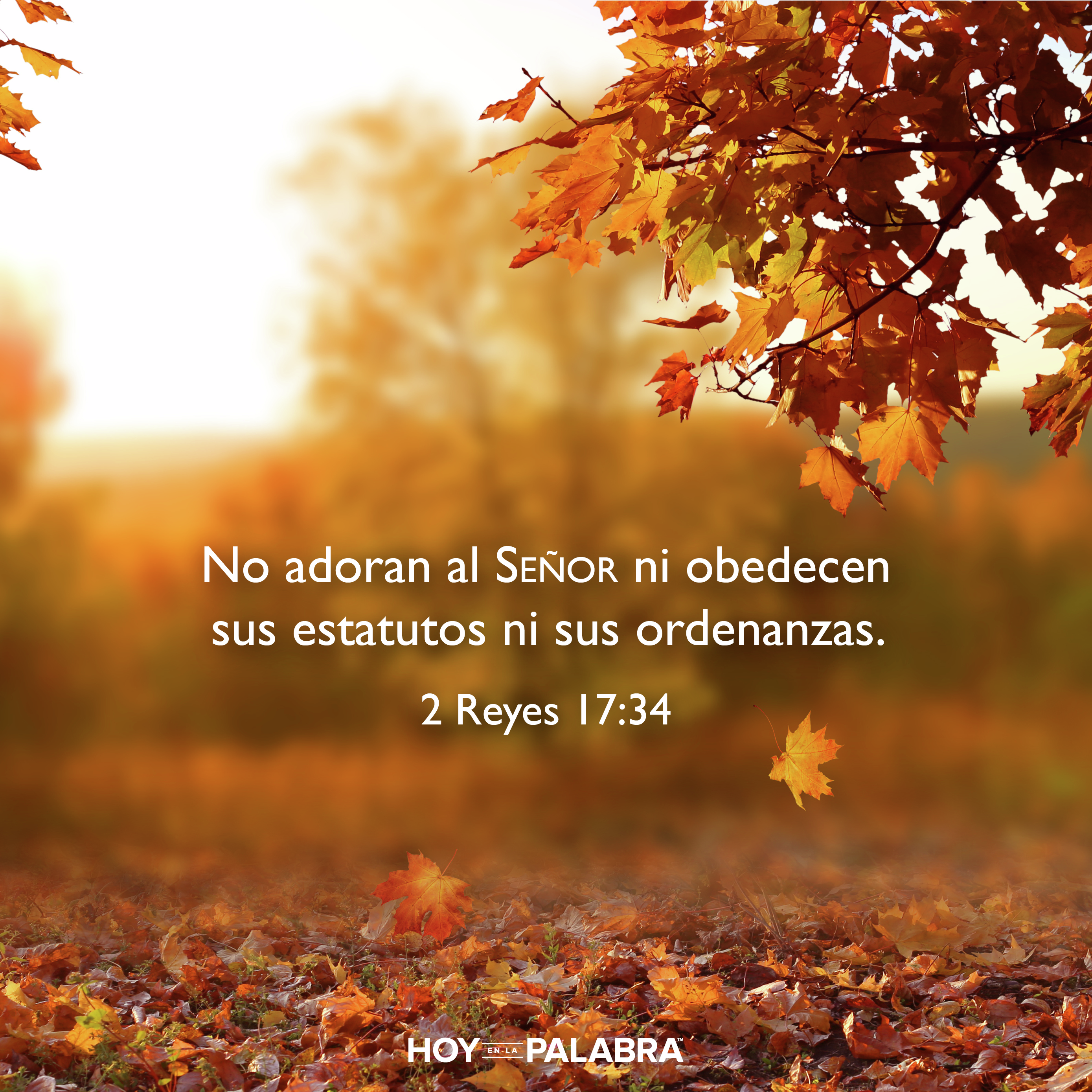 CONSECUENCIAS INESCAPABLE