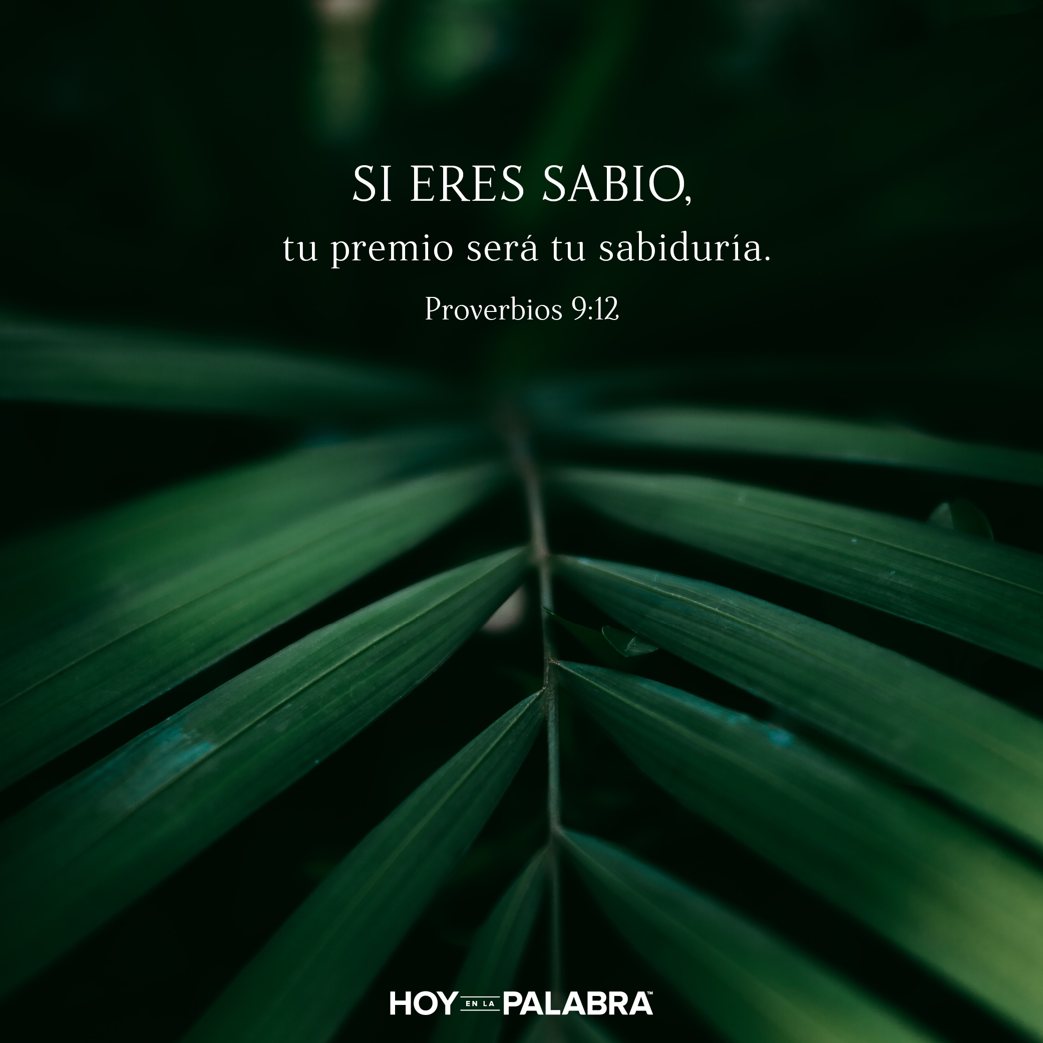 Sabiduría multiplicada