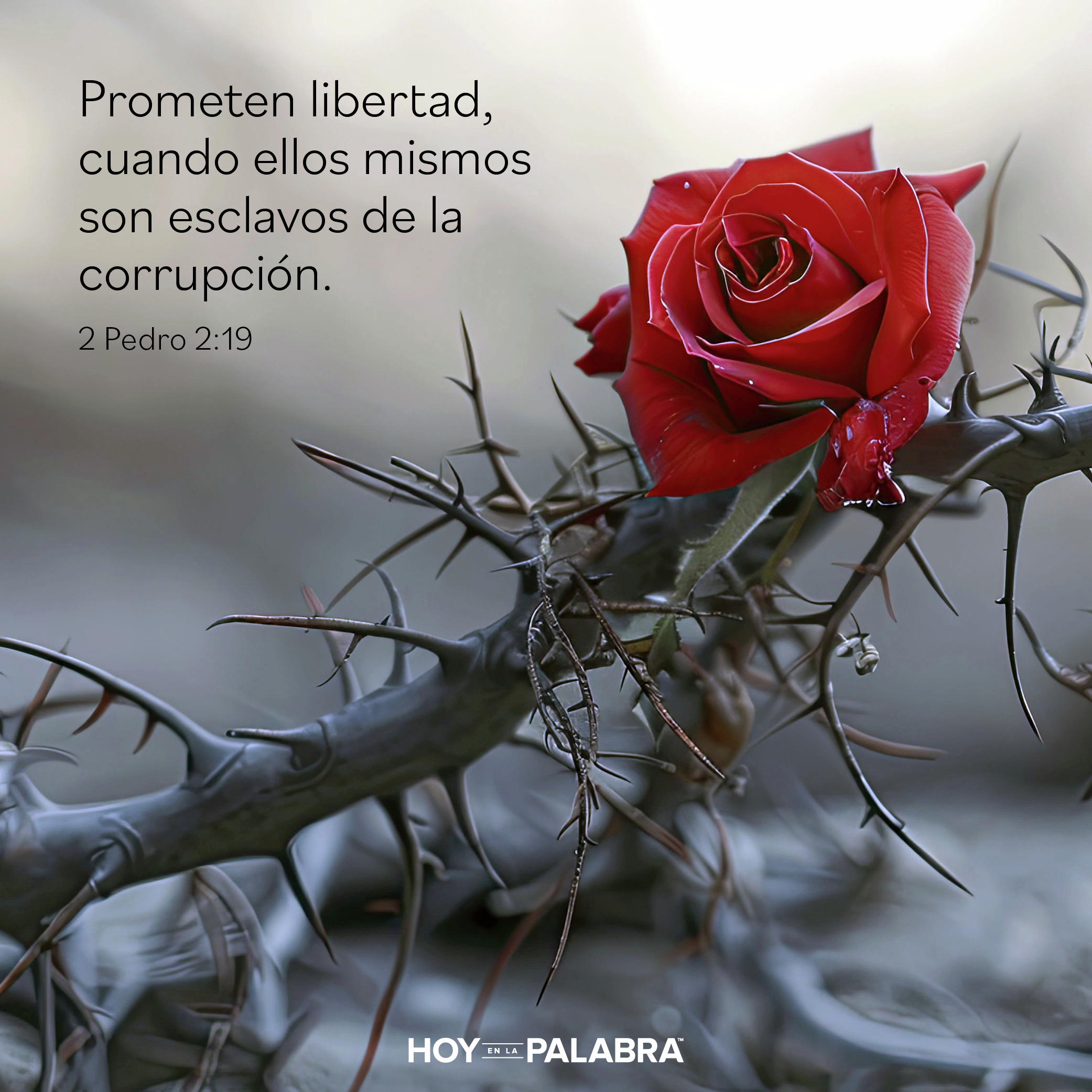 PROTÉGETE DE LOS FALSOS MAESTROS