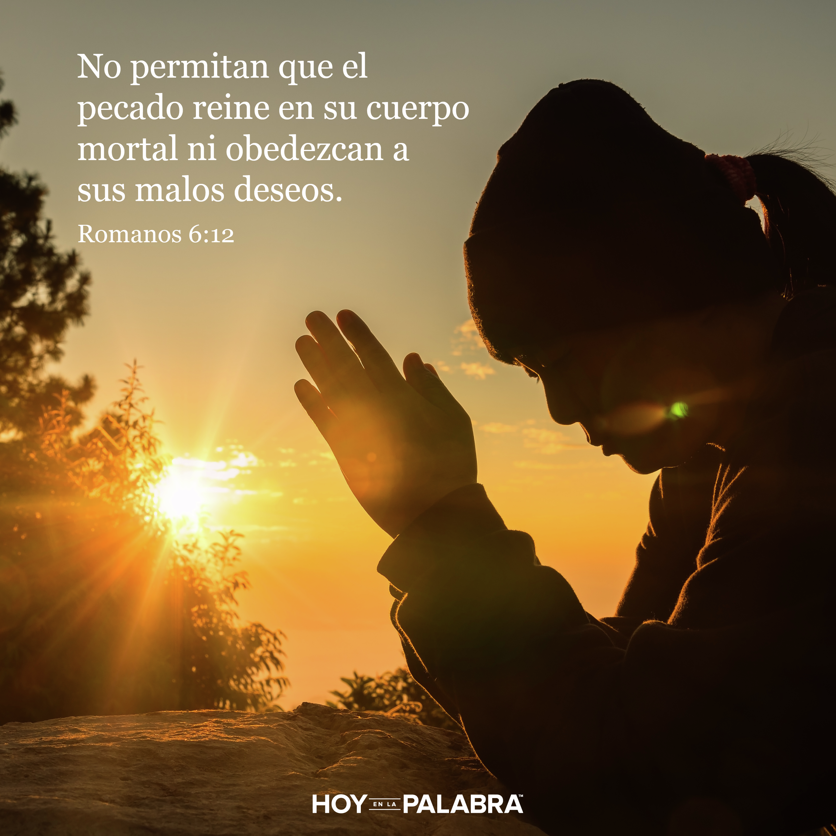 UNA OPORTUNIDAD PERDIDA