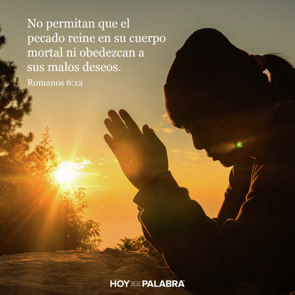 UNA OPORTUNIDAD PERDIDA