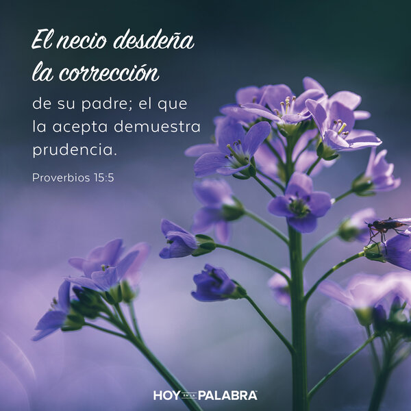 La reprensión es una bendición
