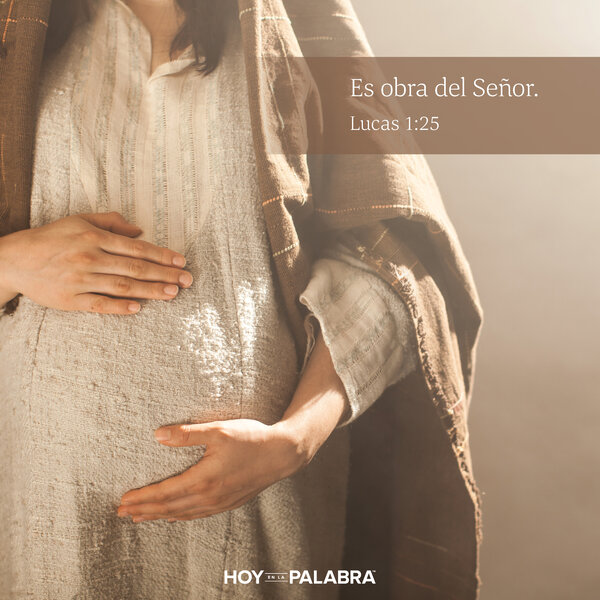 Elisabet: Respuesta a la oración