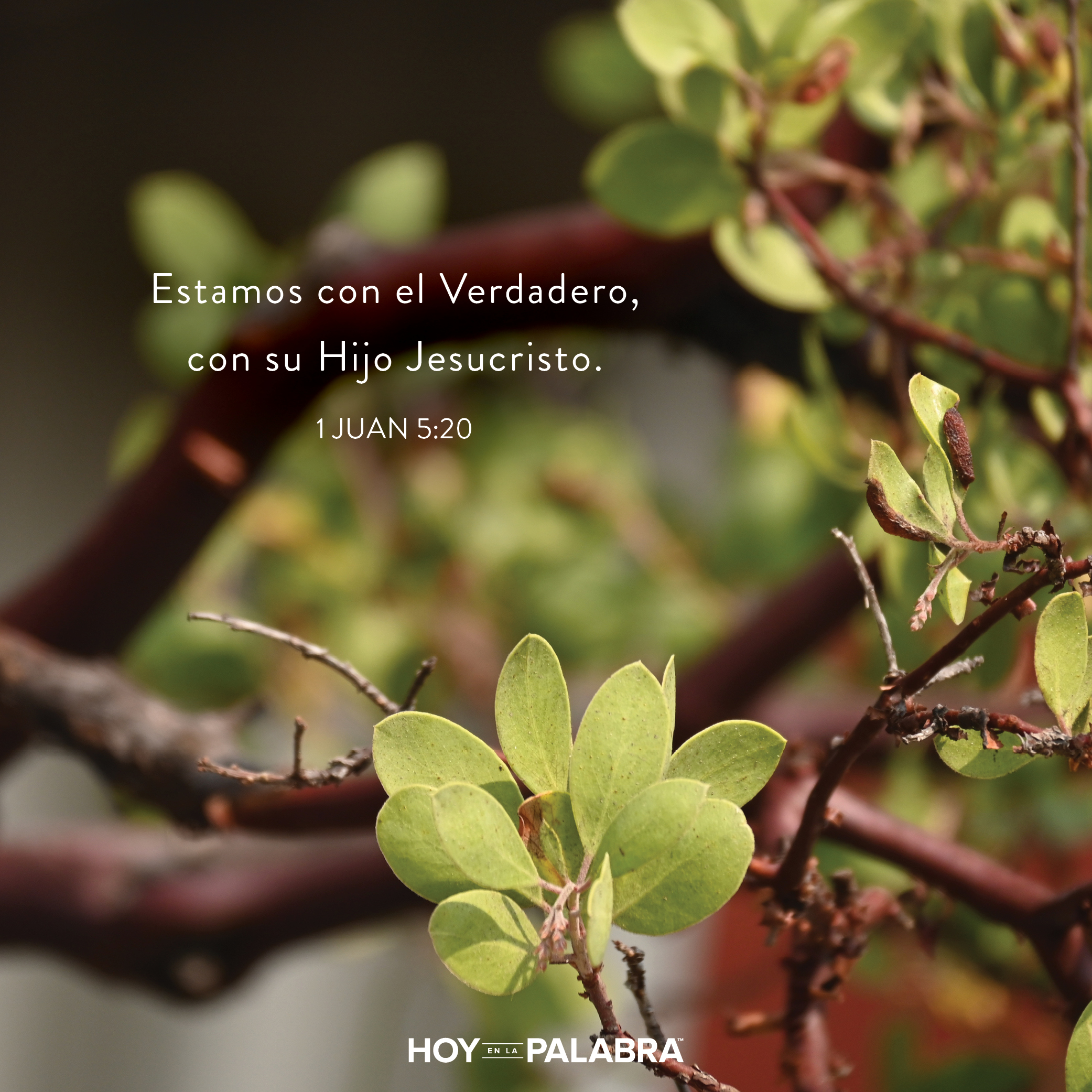 Hermanos pecaminosos