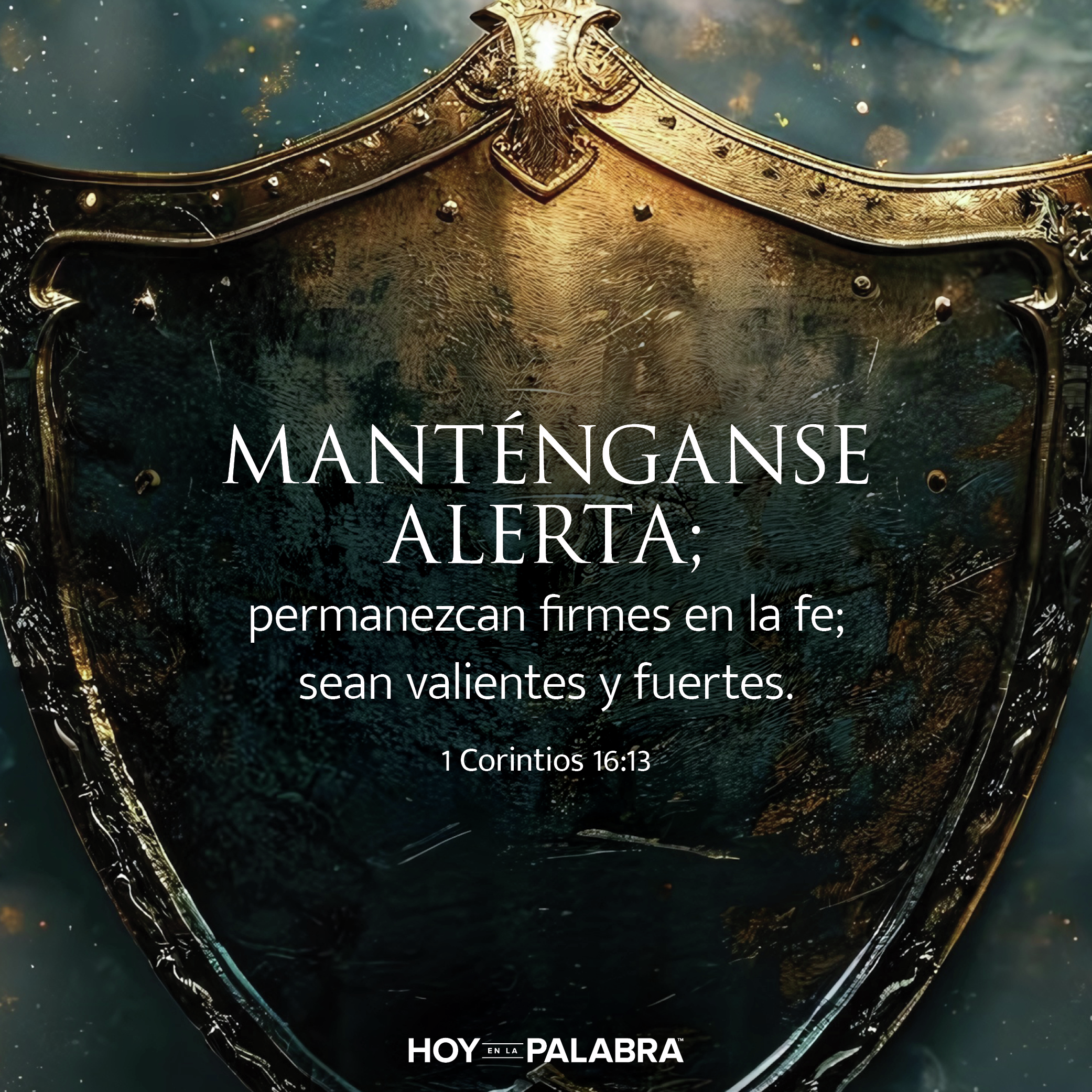 REFORZAR LAS DEFENSAS