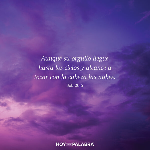 Arrogancia y pretensión