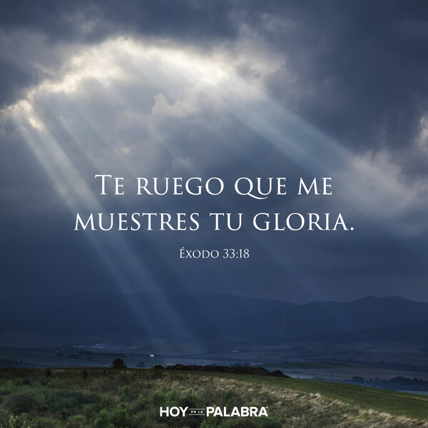 Ver a Dios
