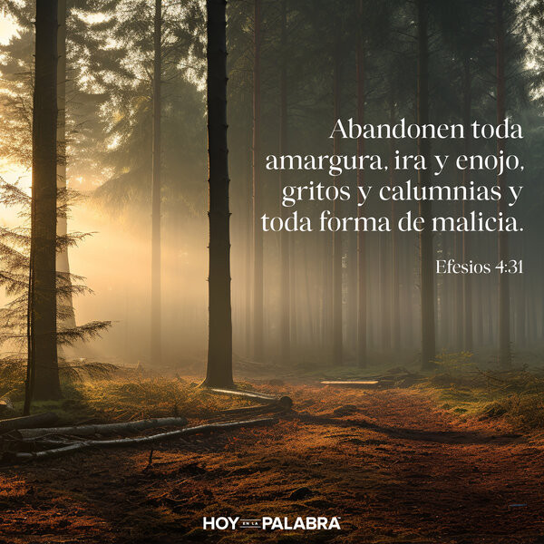 CONSIDERA TUS EMOCIONES