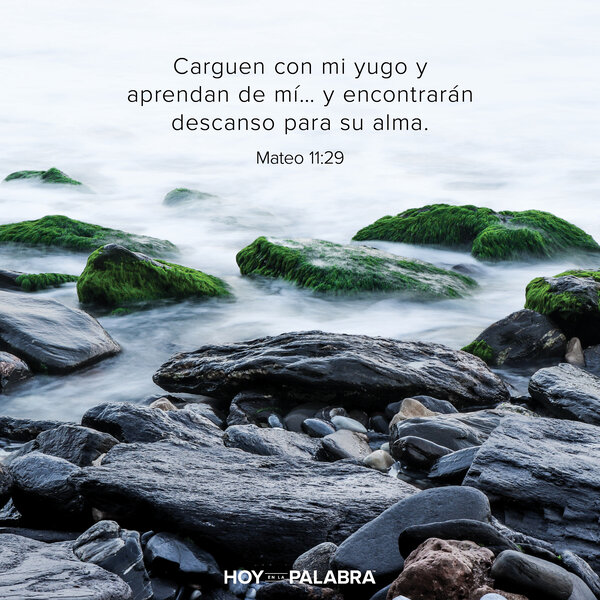 Aprender como estilo de vida