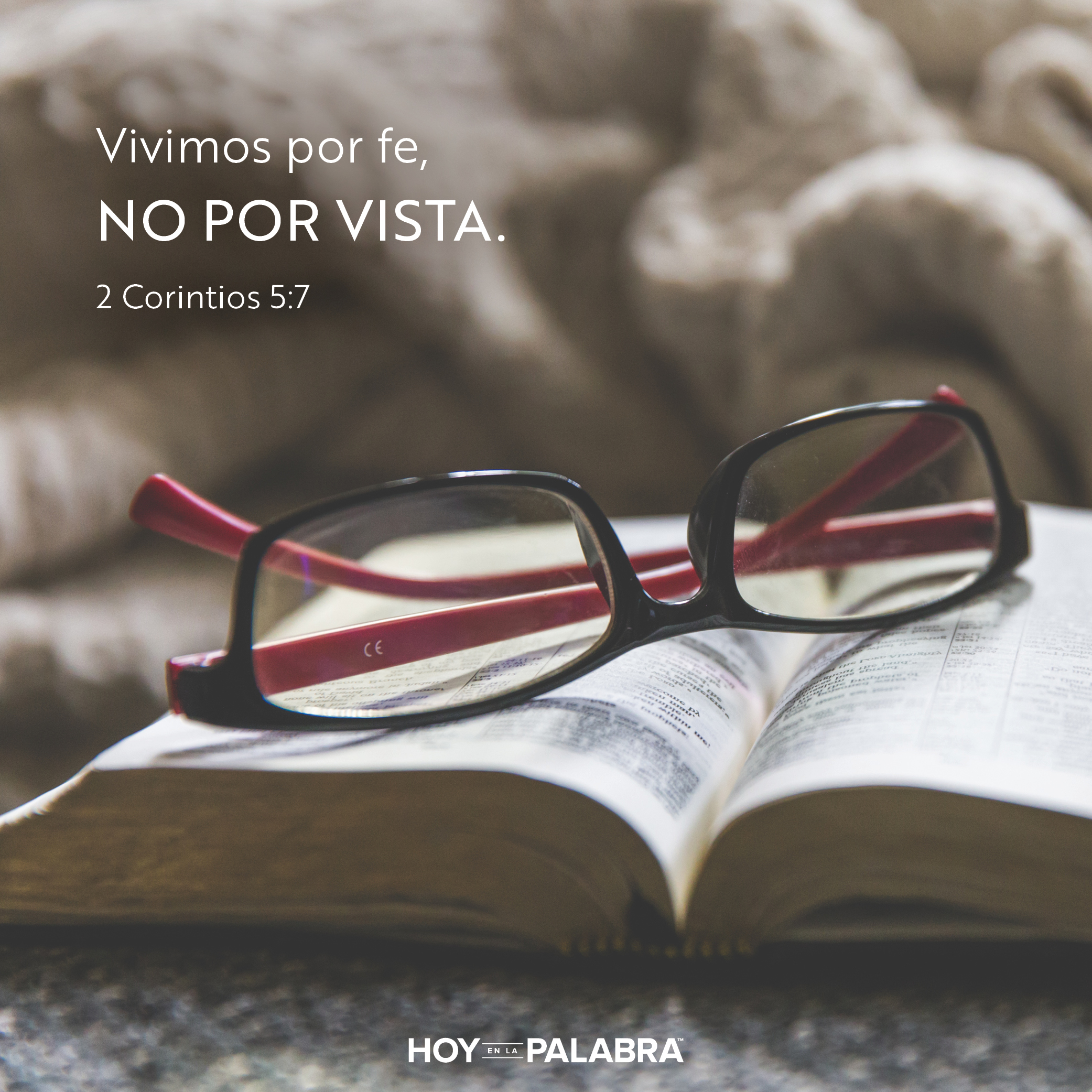 La viuda de Sarepta: Ahora ya lo sé