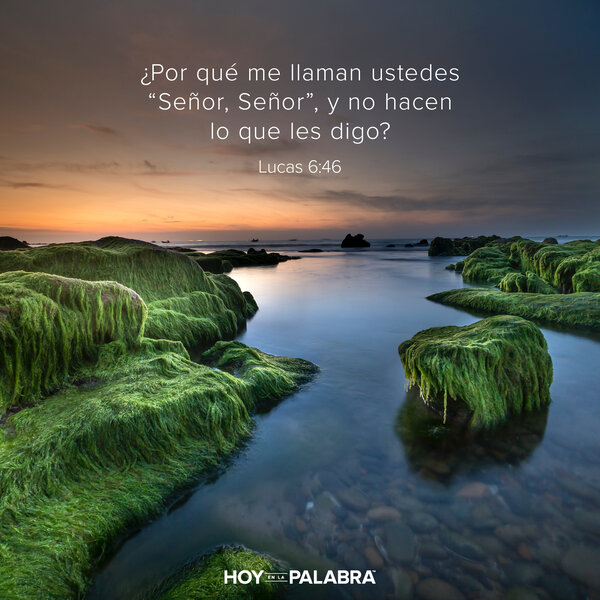 Poner en práctica (I)