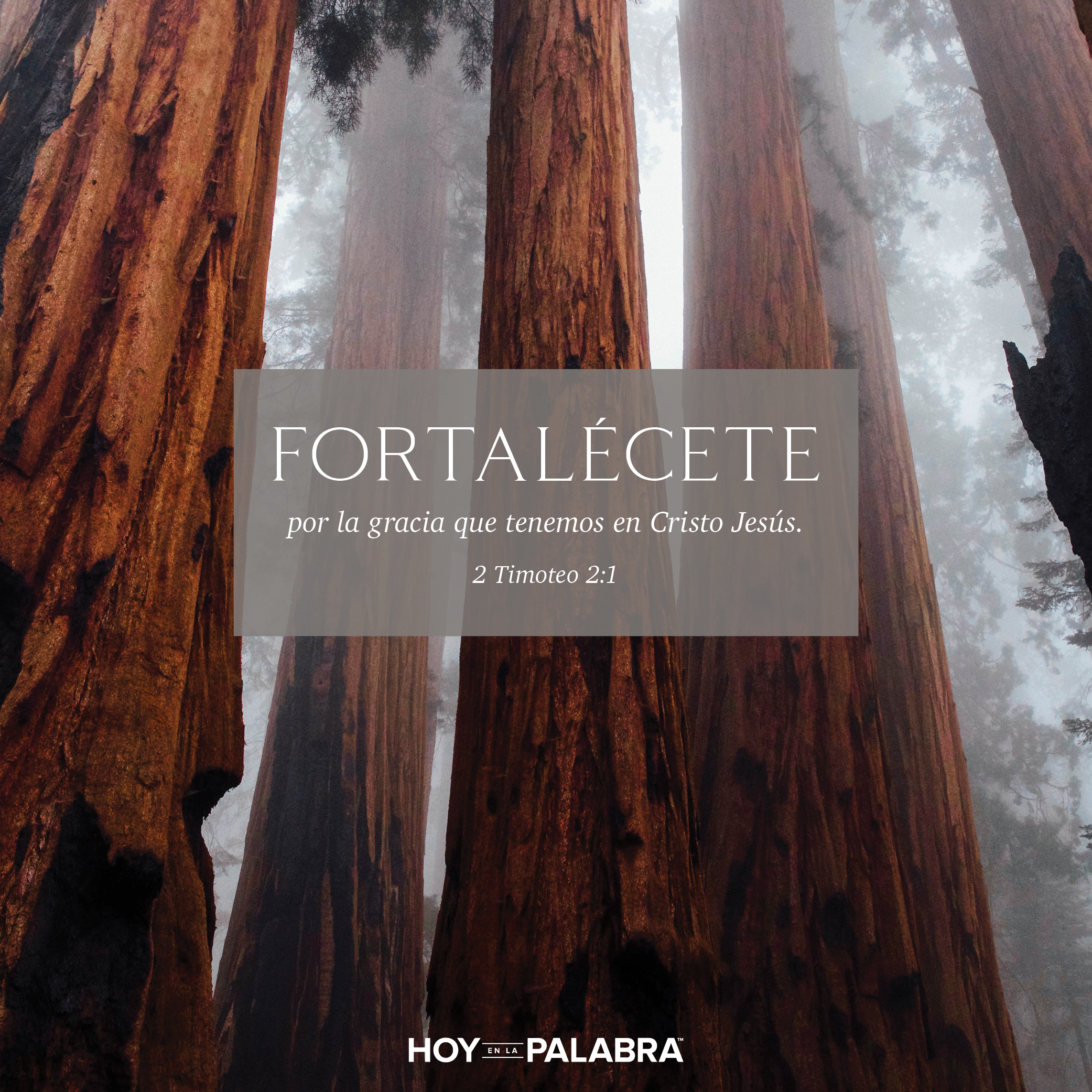 Permanecer fuertes en la gracia