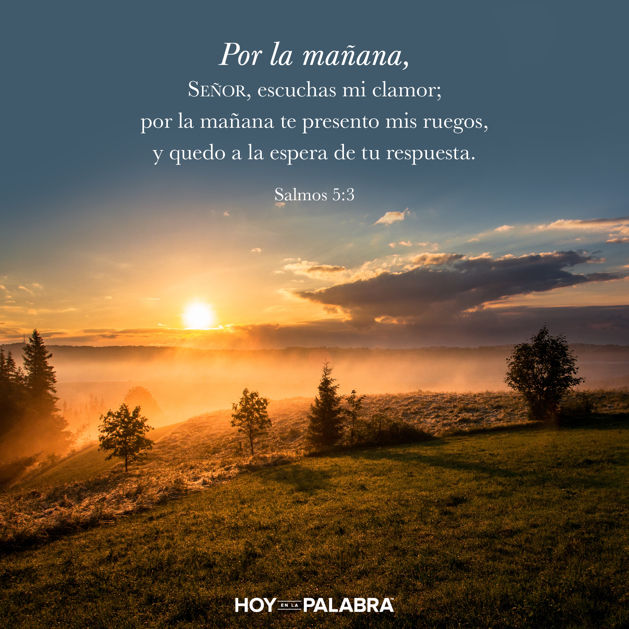 David pide favor divino