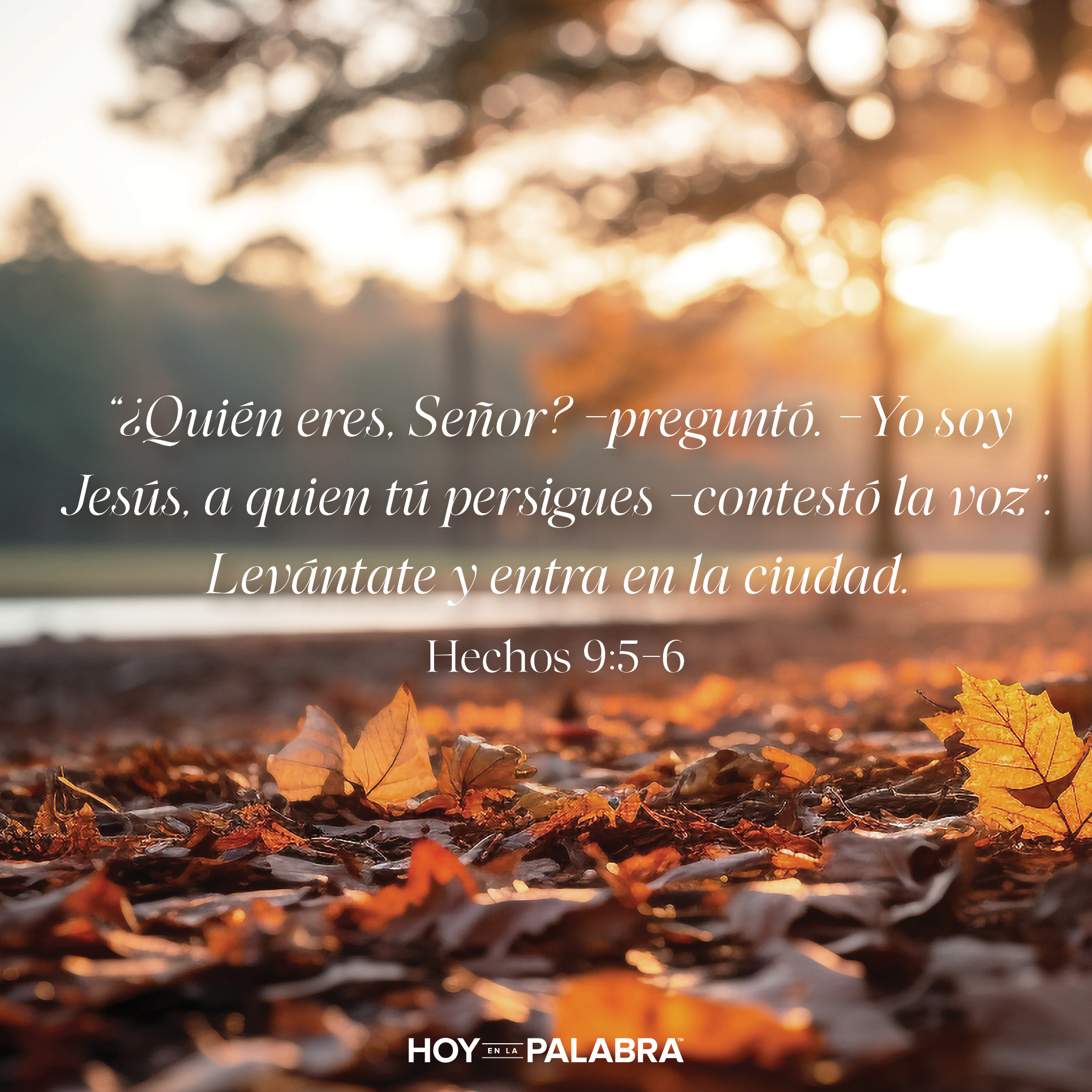 Instrumento escogido