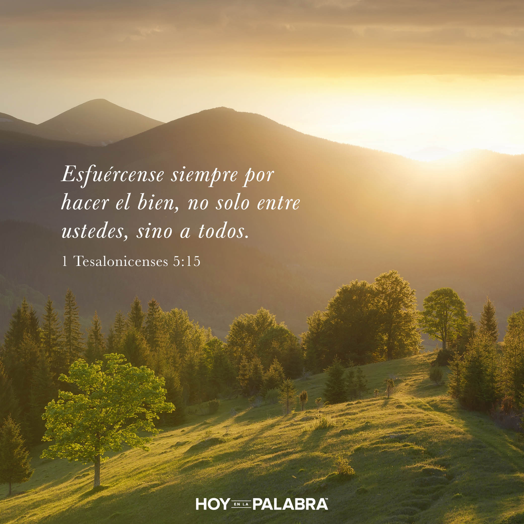 Vivir en paz con otros