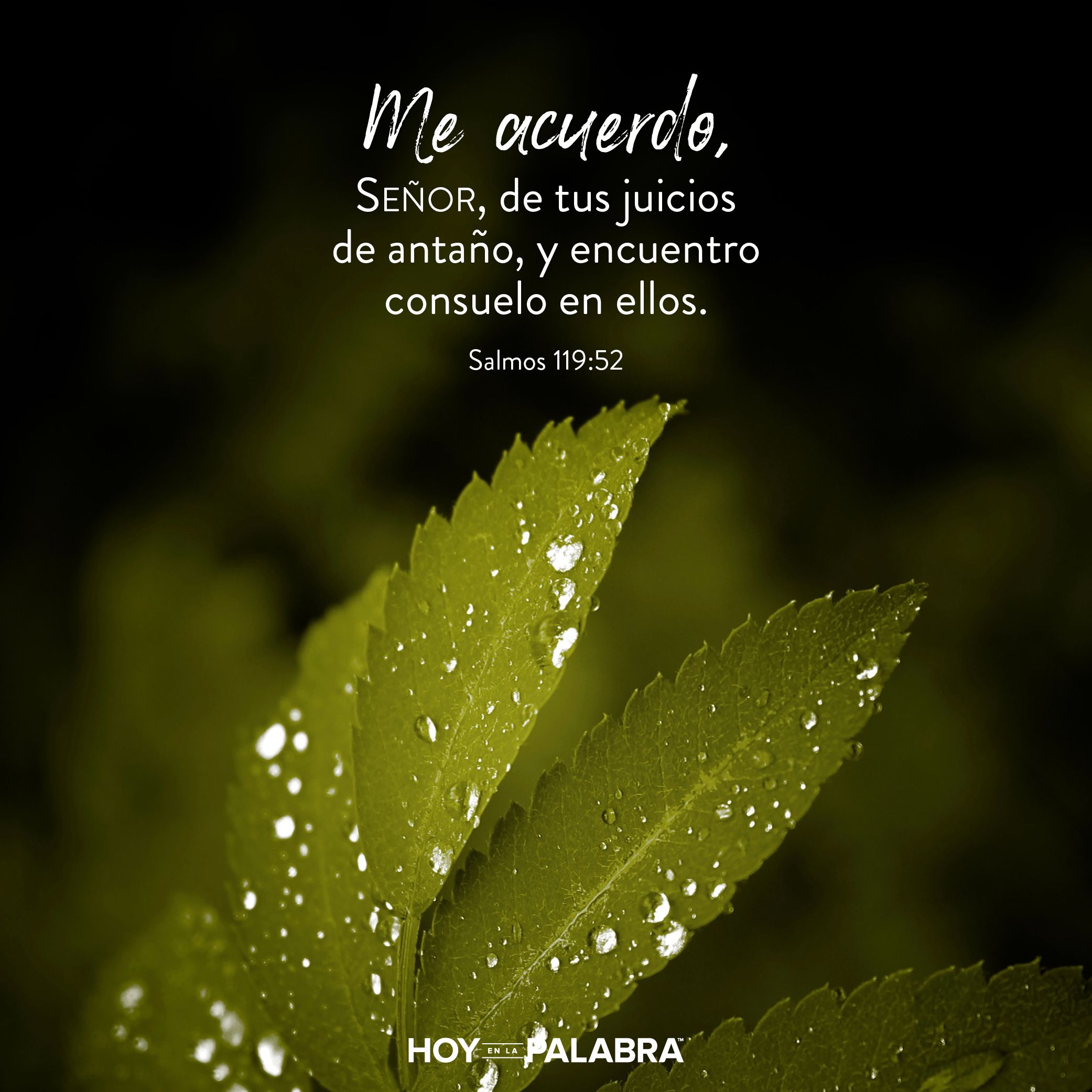 Aprender a ser un líder de Dios