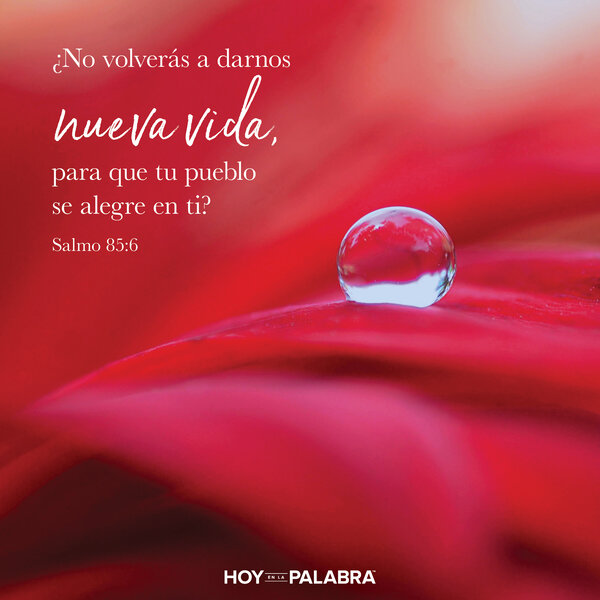 Huldá: ¡Llegó el avivamiento!