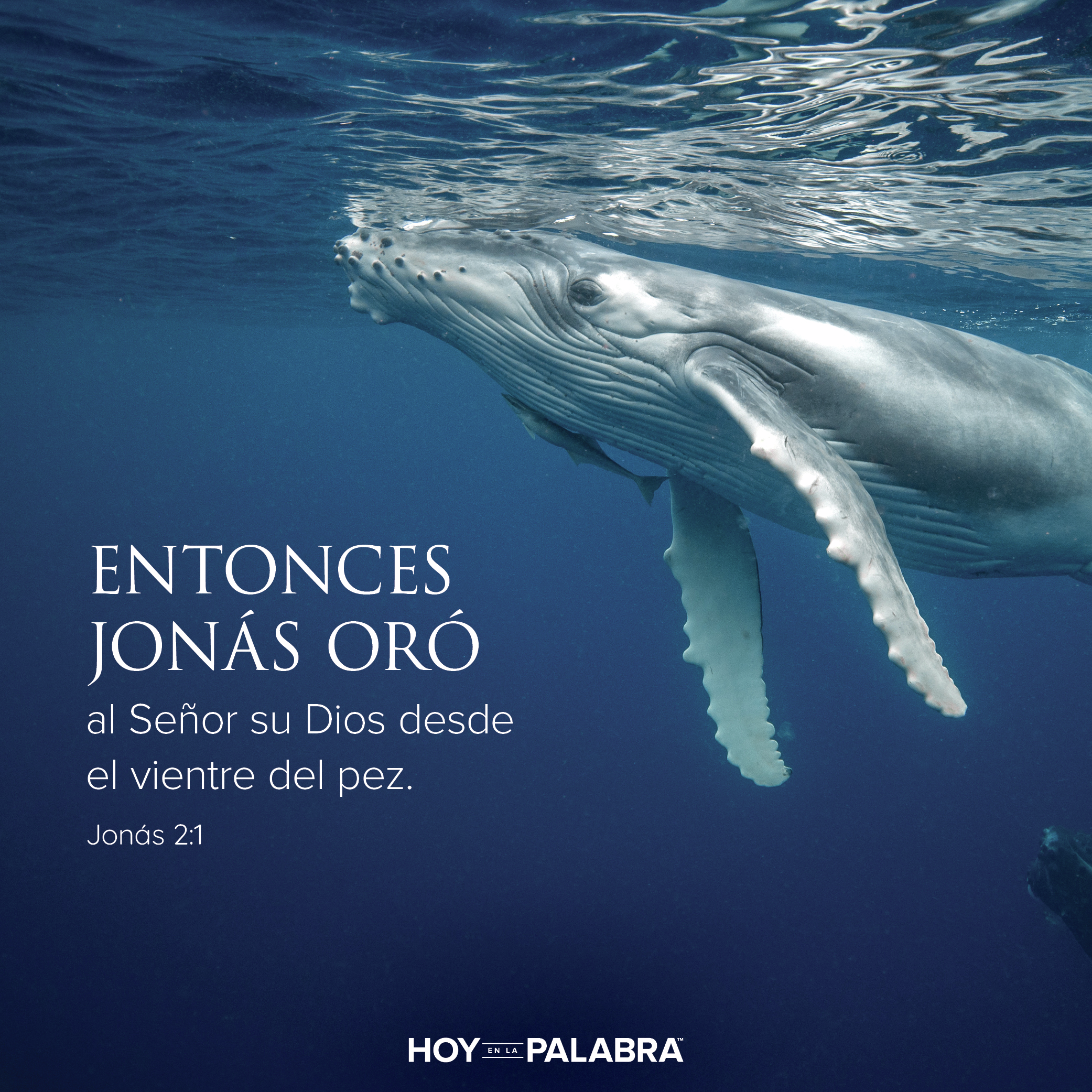 Hoy en la palabra