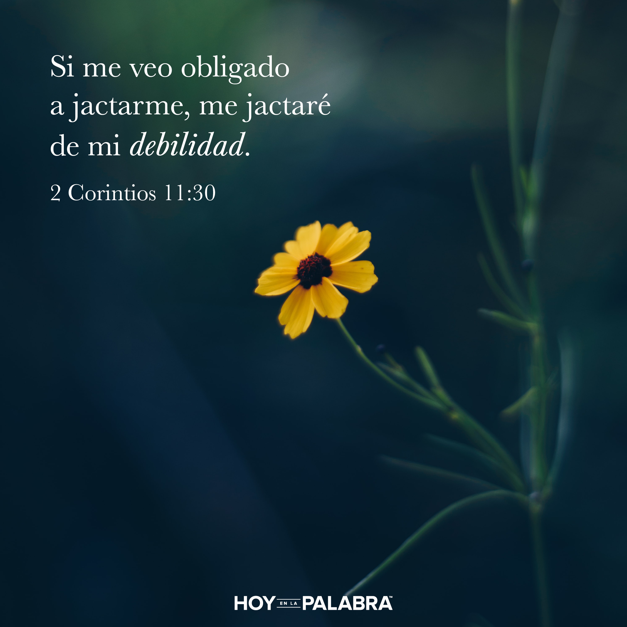 El currículum del siervo