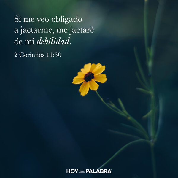 El currículum del siervo