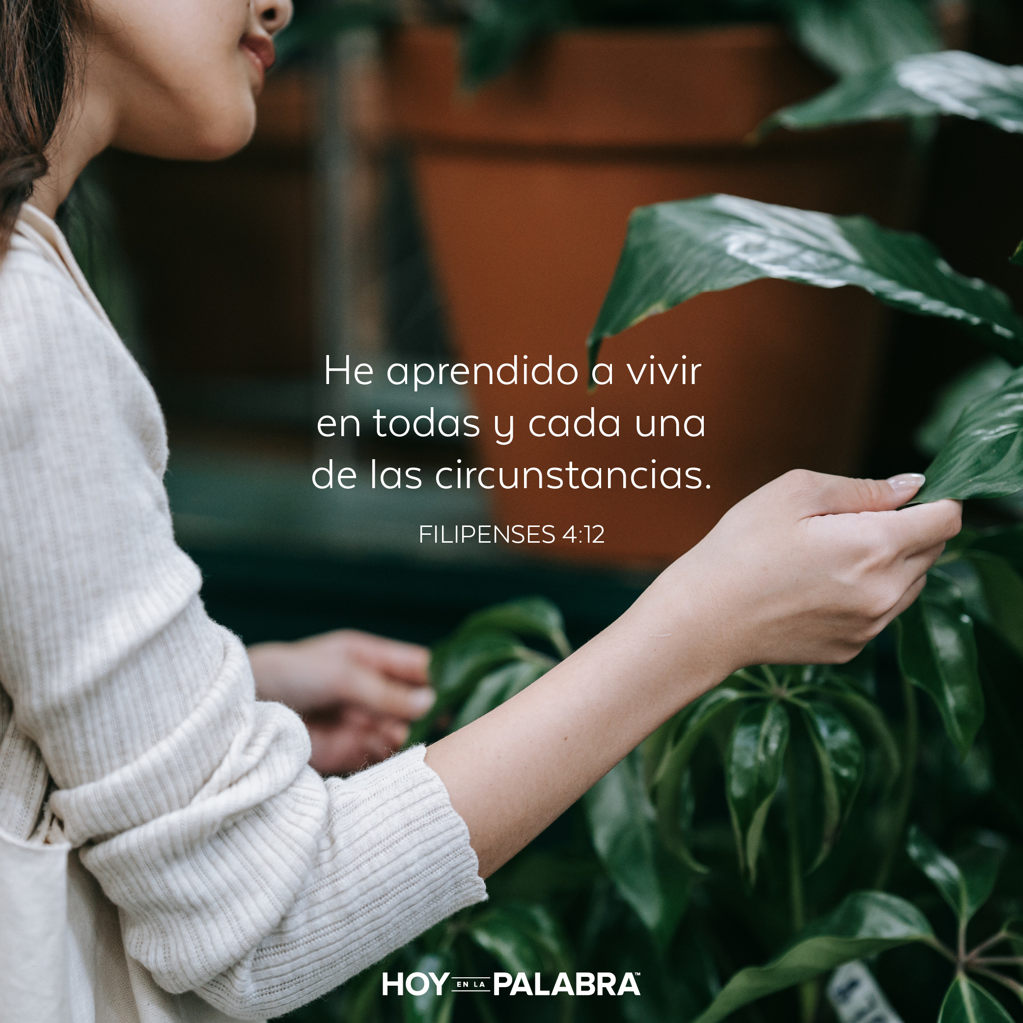 Poner en práctica (II)