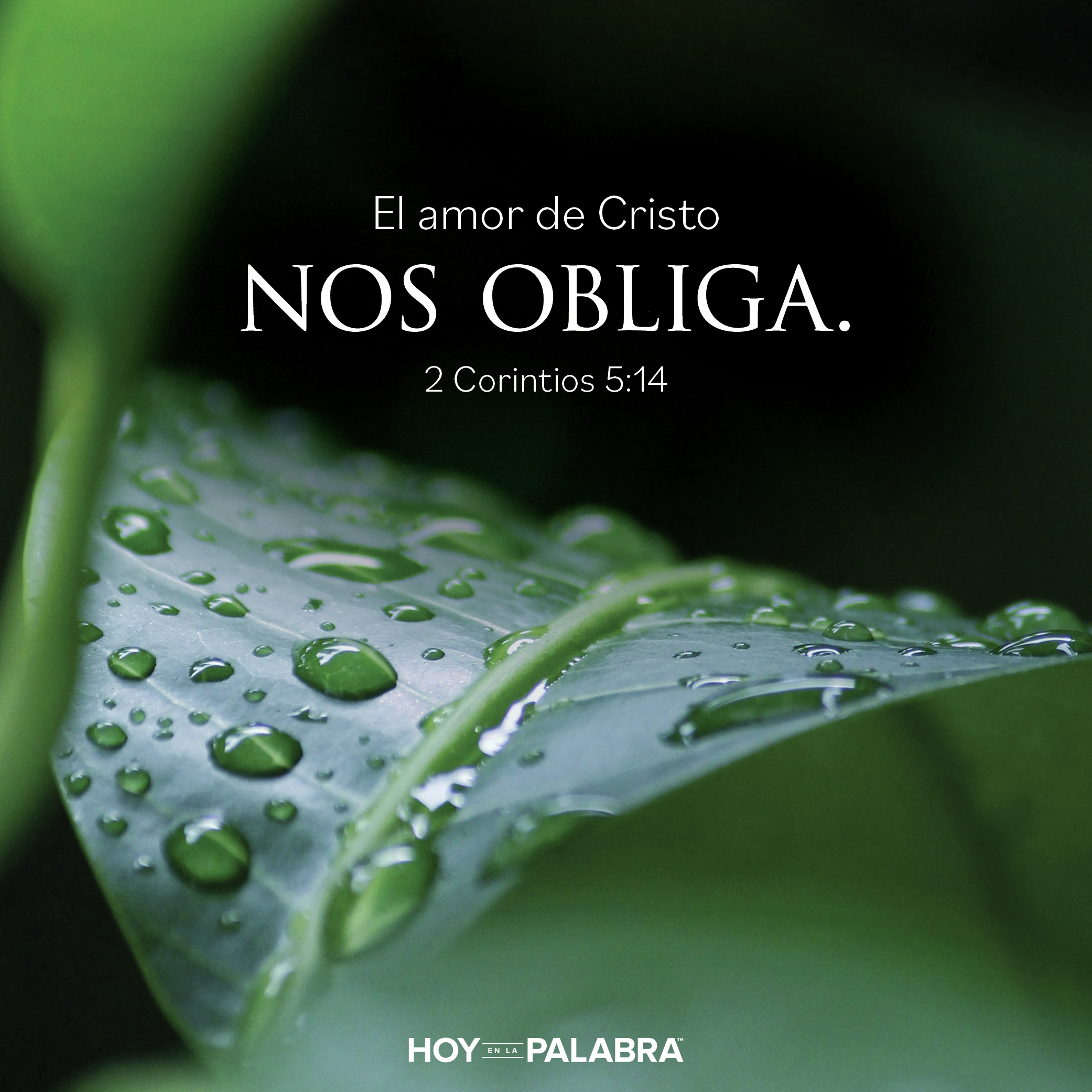 POTENCIADOS POR EL AMOR