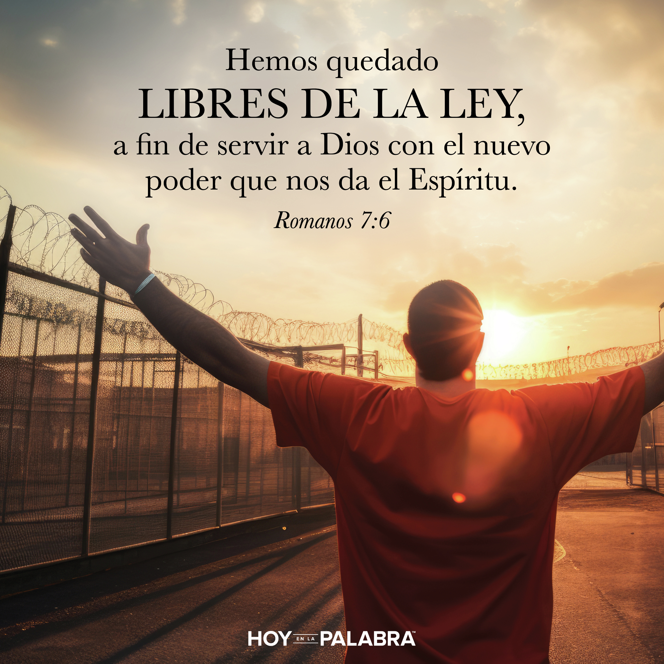 LIBRES DE LA LEY