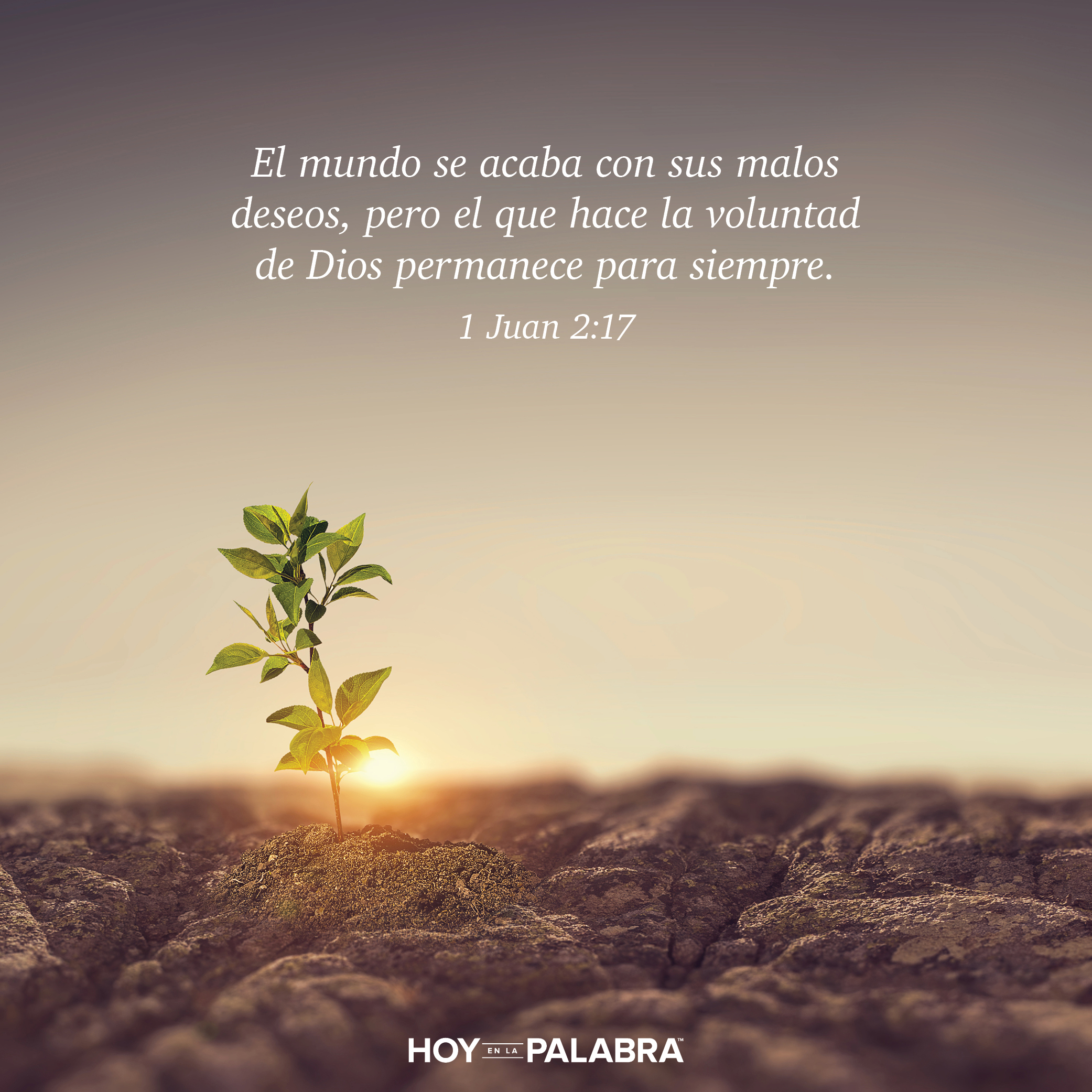 El éxito a los ojos de Dios