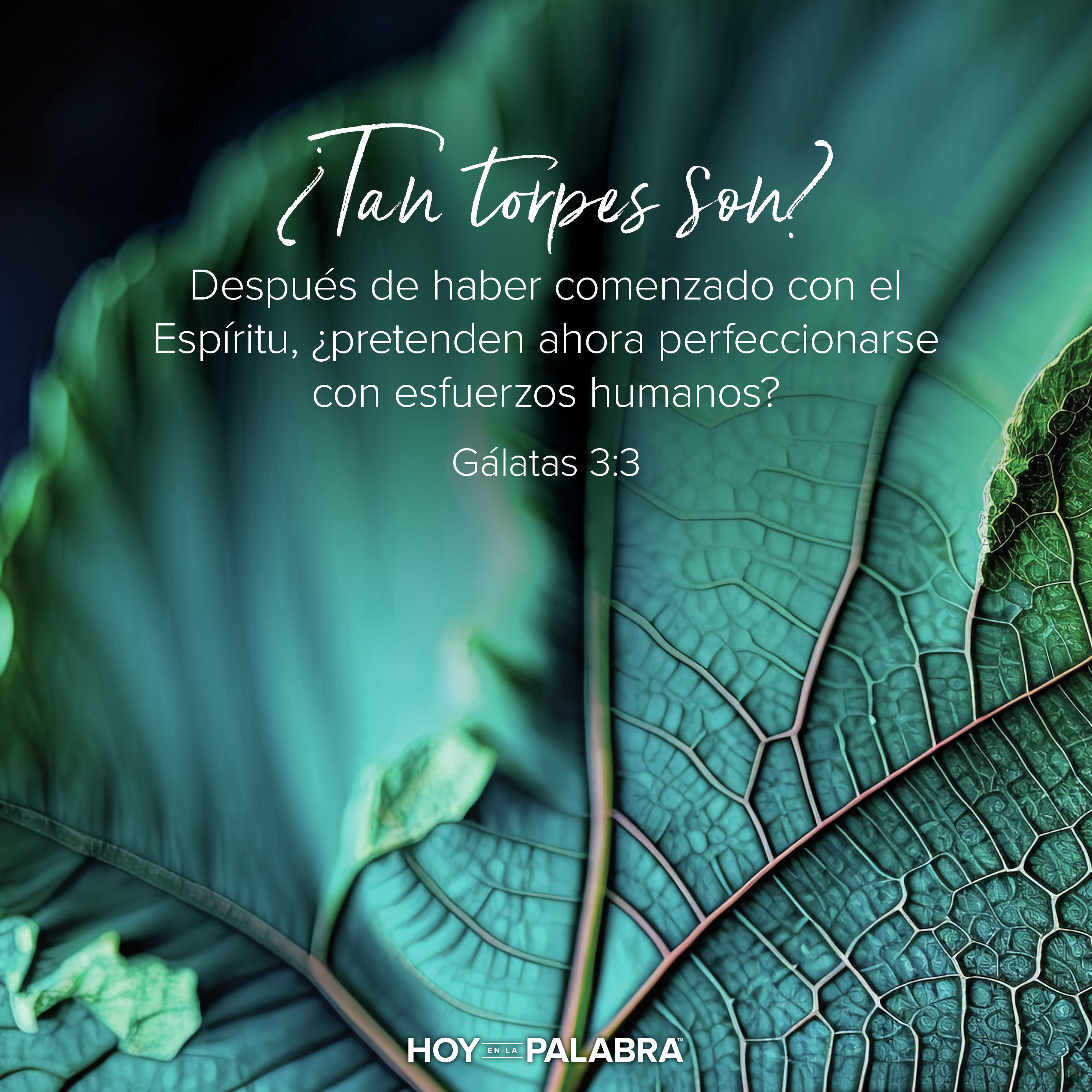 ESFUERZO O CONFIANZA