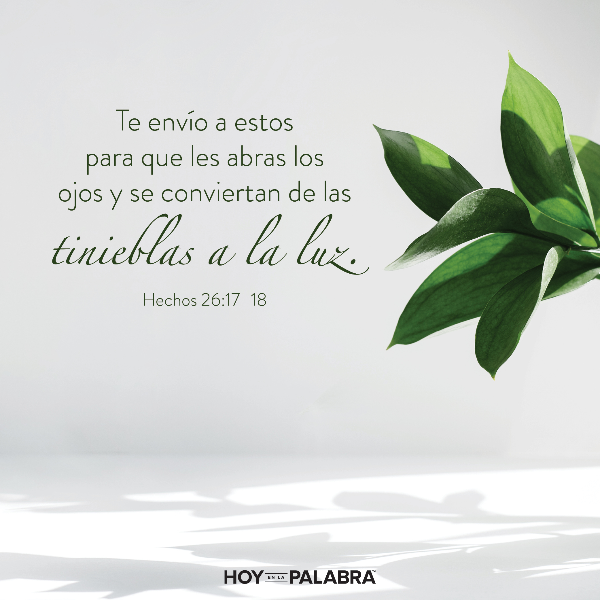 La gran enseñanza de Pablo