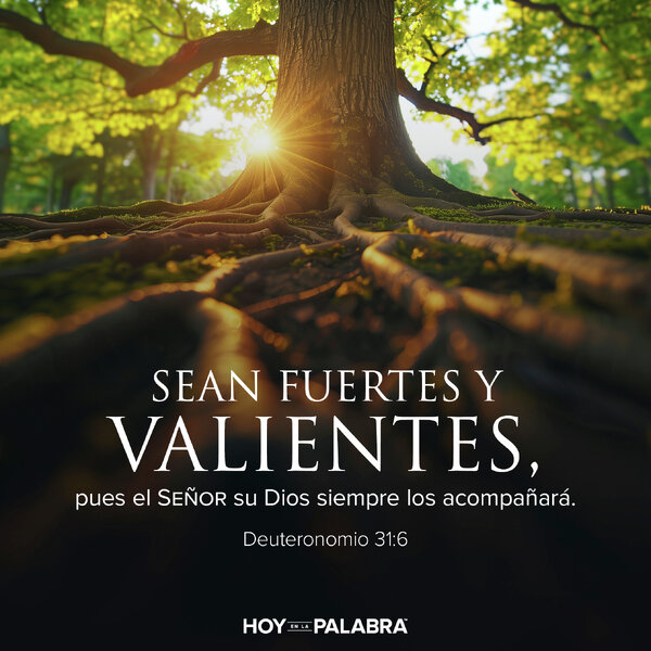 LIDERAZGO EN TRANSICIÓN