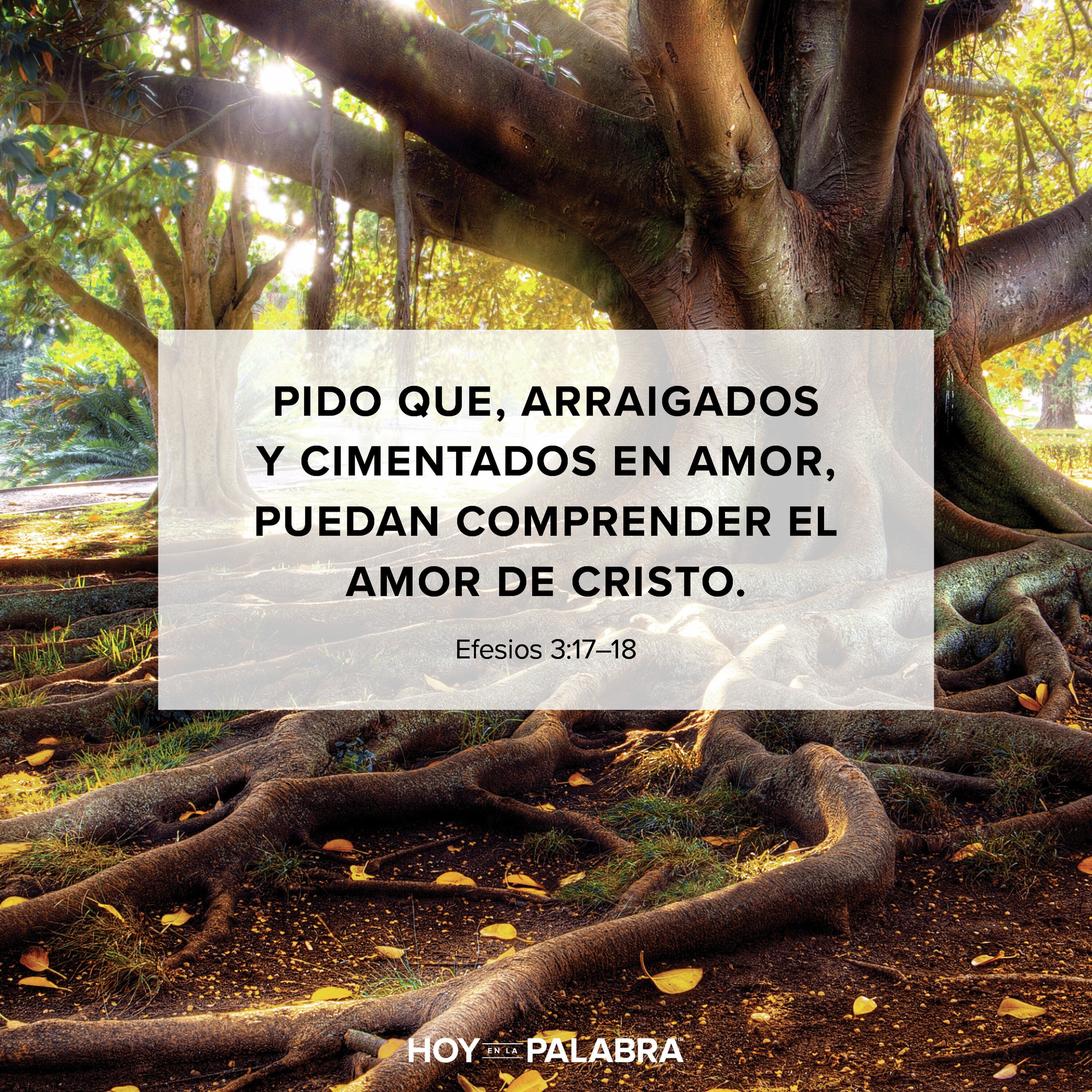 ELIMINAR LAS BARRERAS