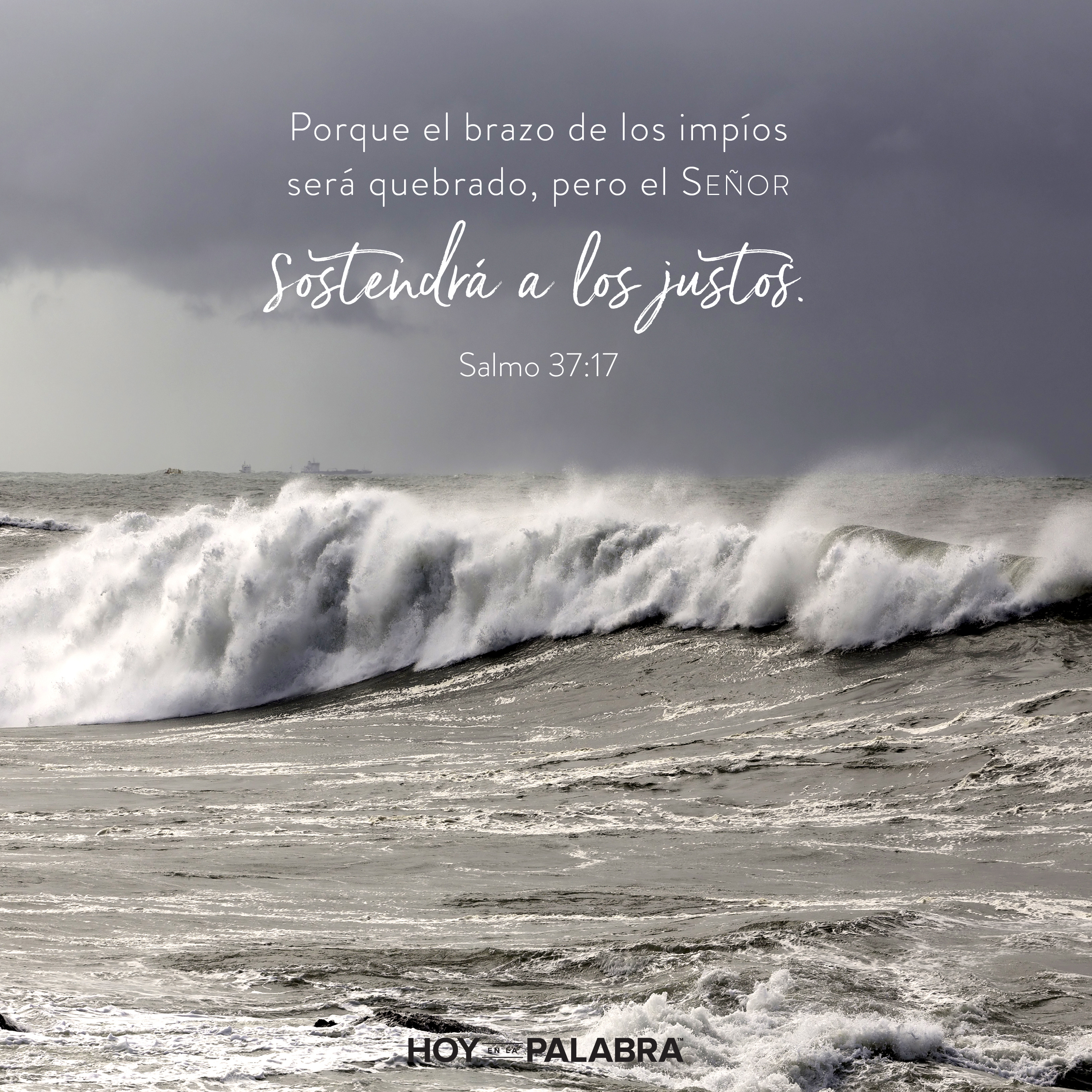 Miriam: Competir por el liderazgo