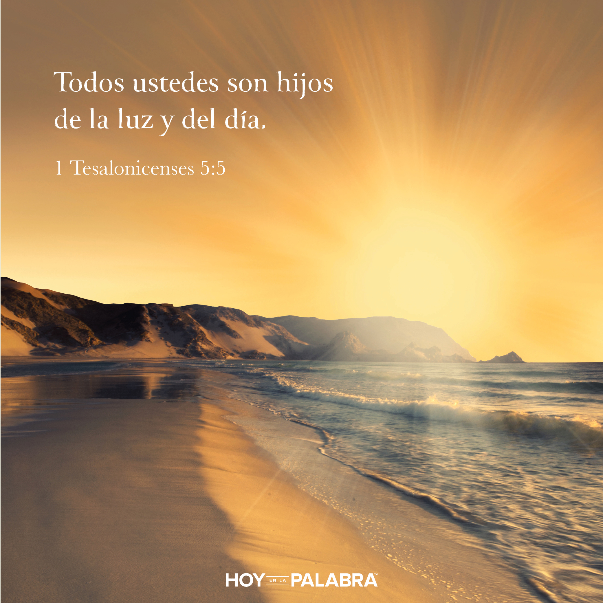 Sorprendidos y expectantes