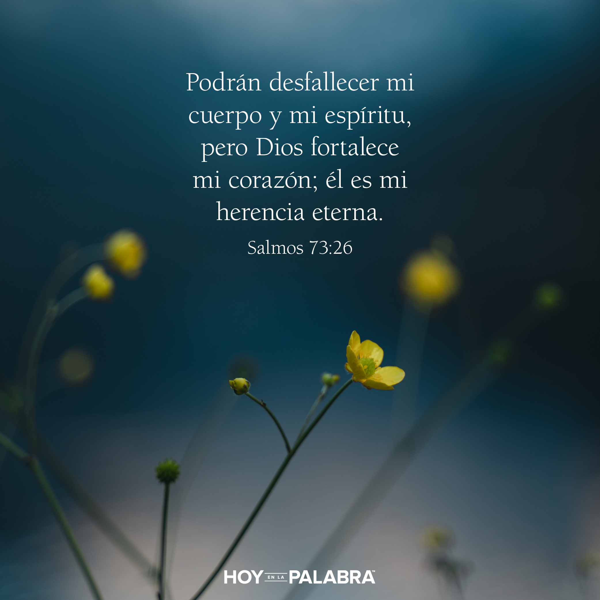 ¡Absalón, o Absalón!