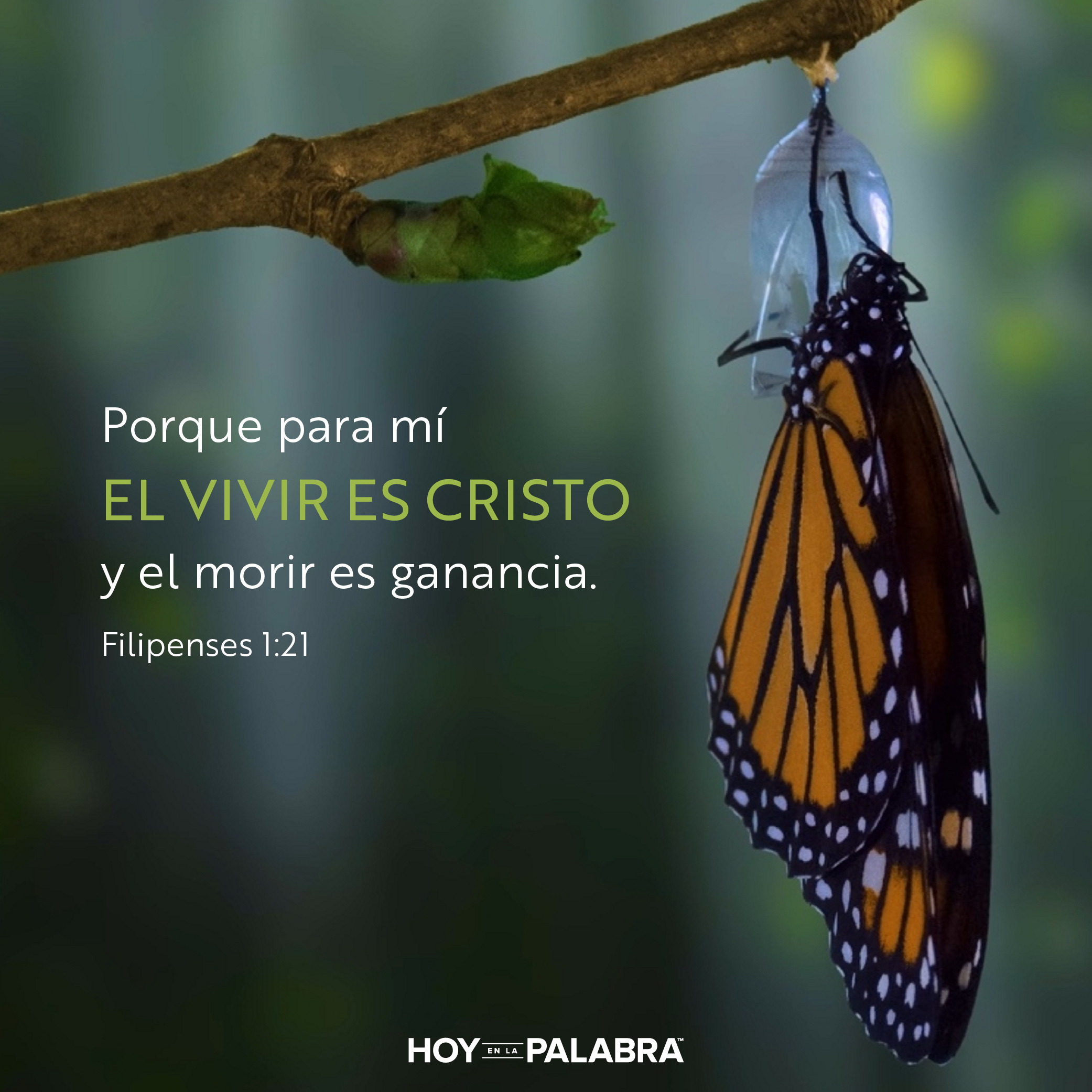 La pérdida que es ganancia