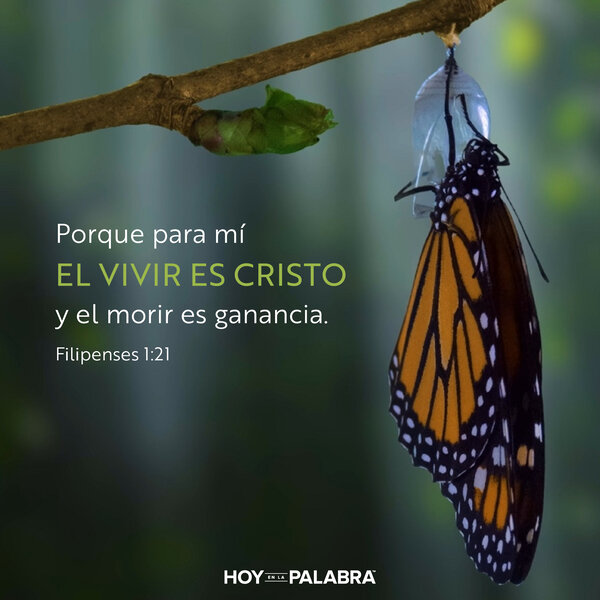 La pérdida que es ganancia