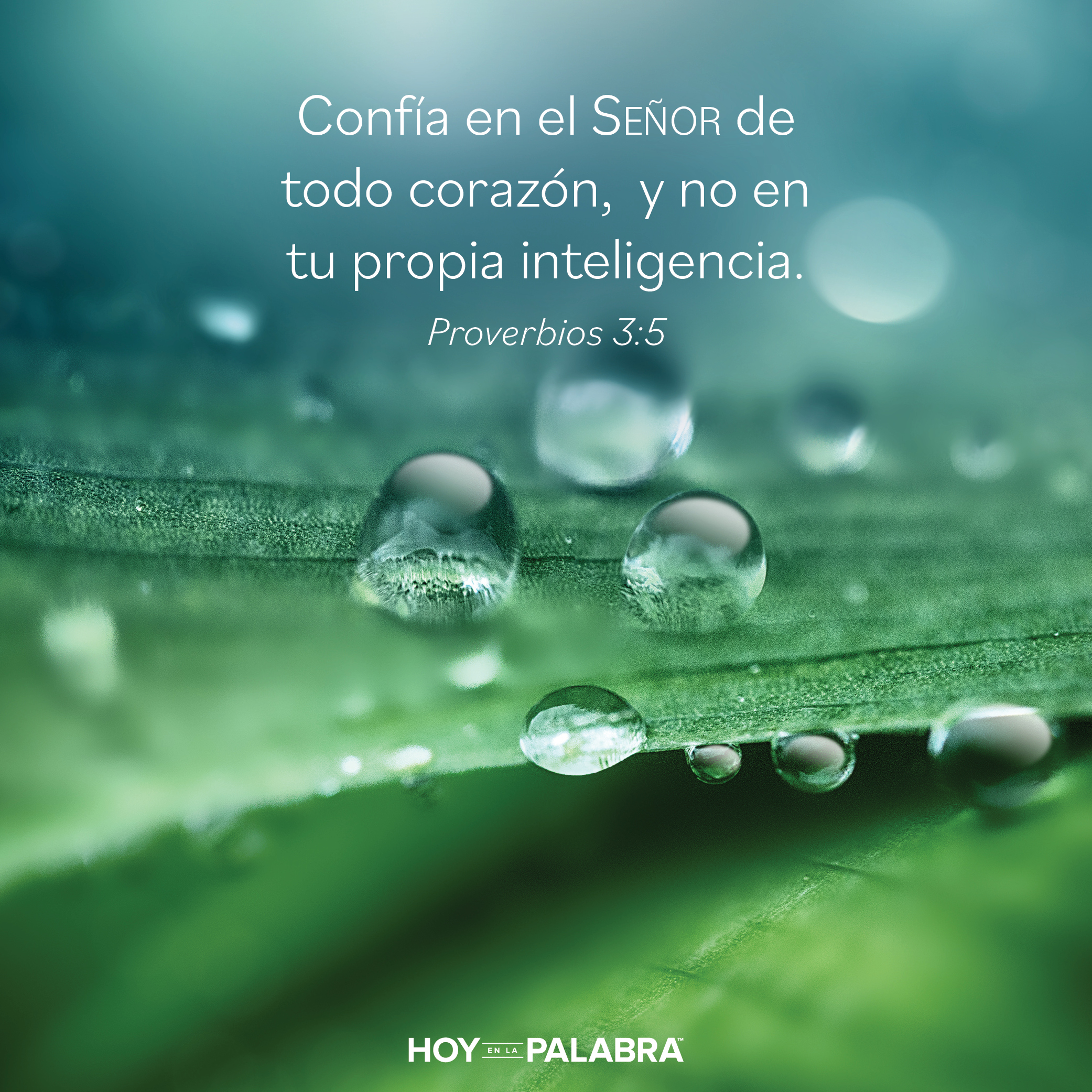 Confía en el Señor